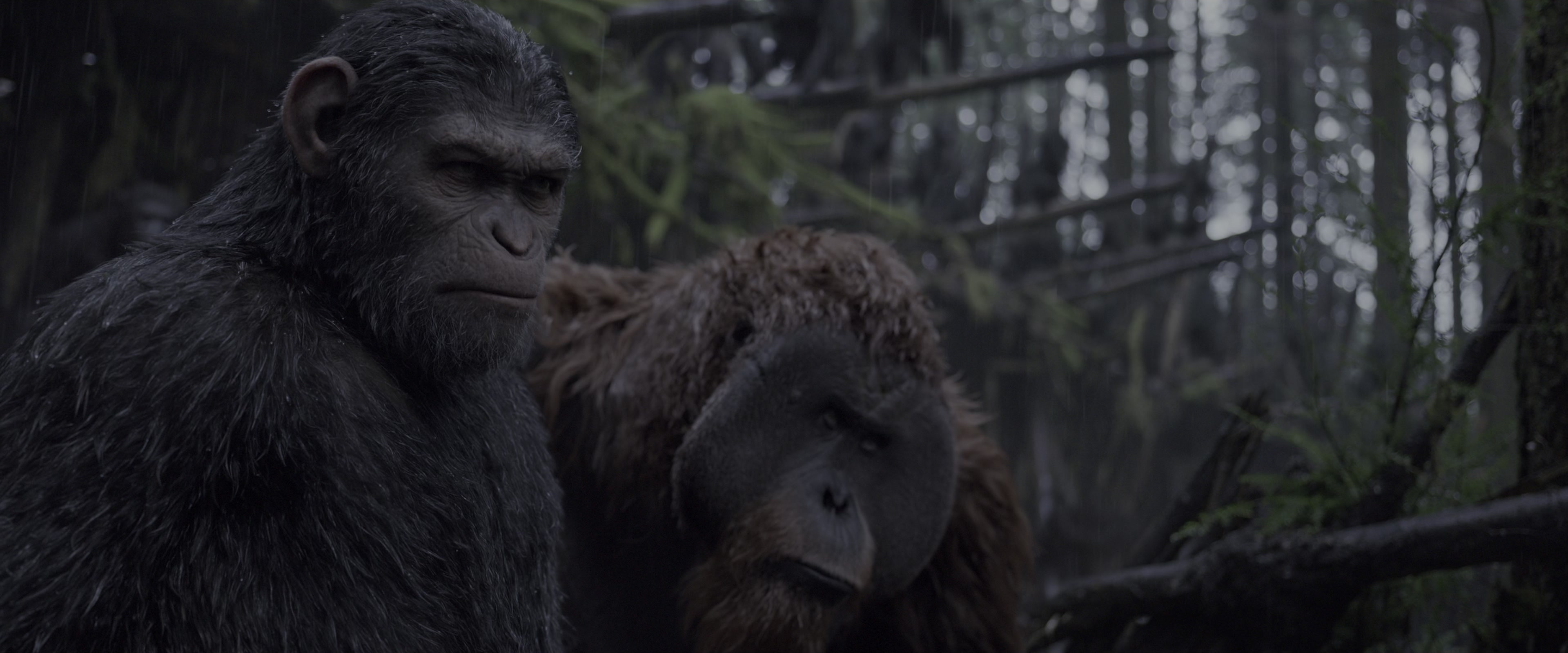 War for the Planet of the Apes (2017), wide, 2.40:1 — film still