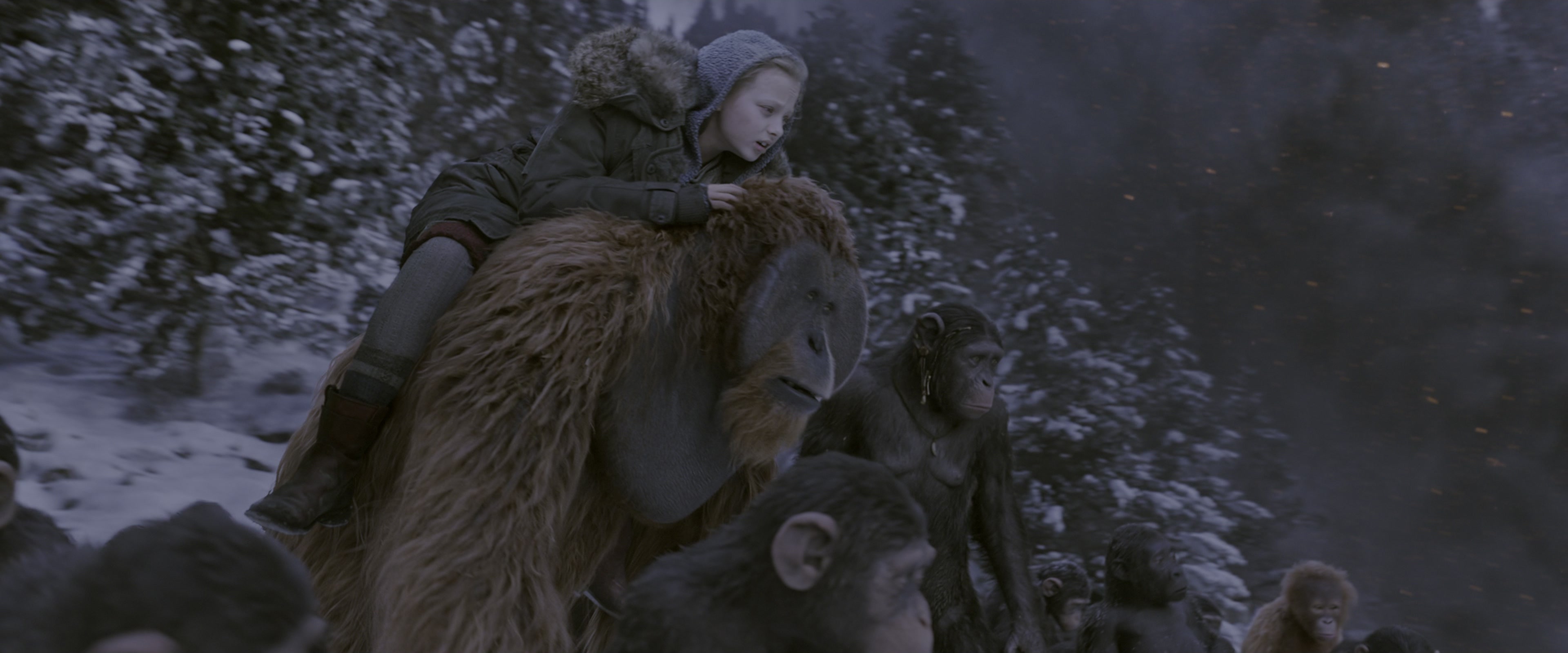War for the Planet of the Apes (2017), wide, 2.40:1 — film still