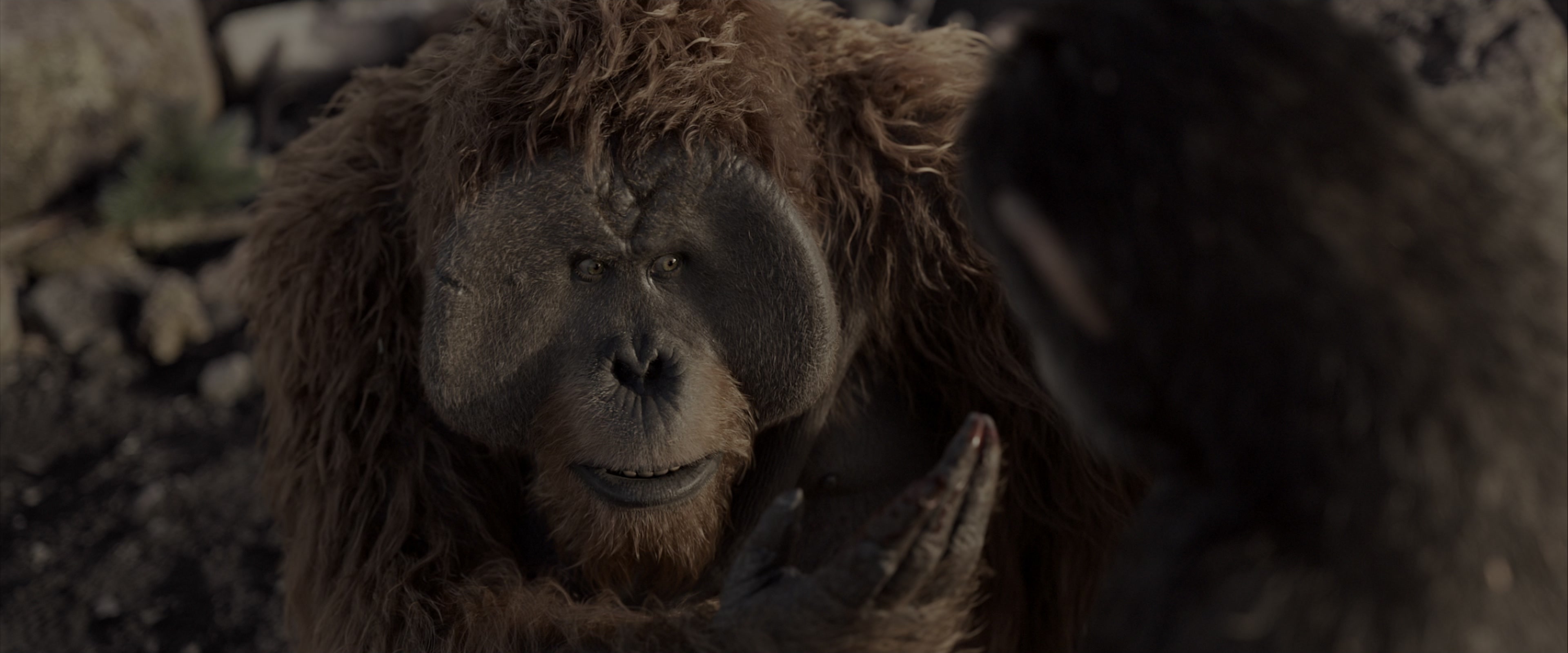 War for the Planet of the Apes (2017), wide, 2.40:1 — film still