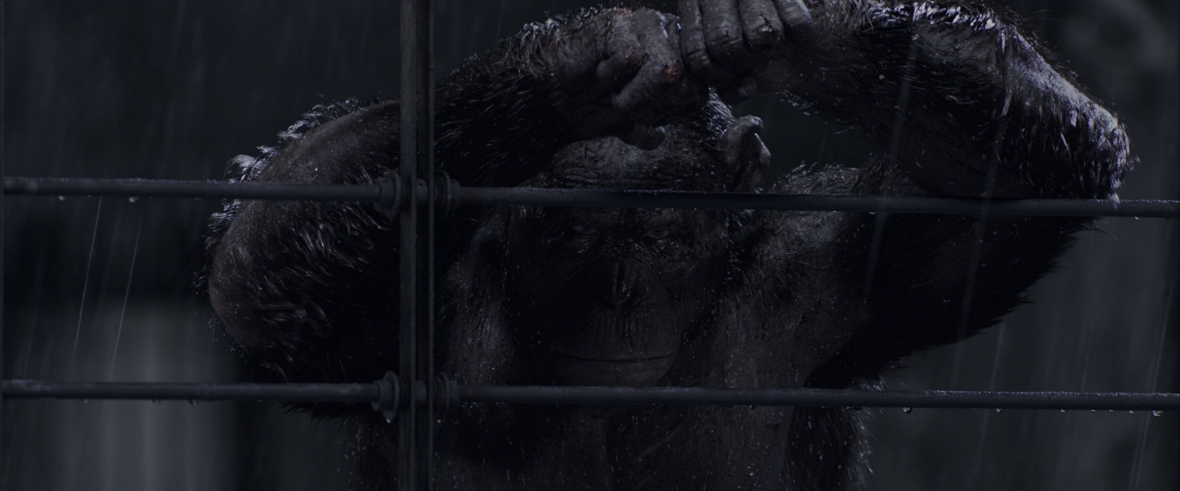 War for the Planet of the Apes (2017), wide, 2.40:1 — film still