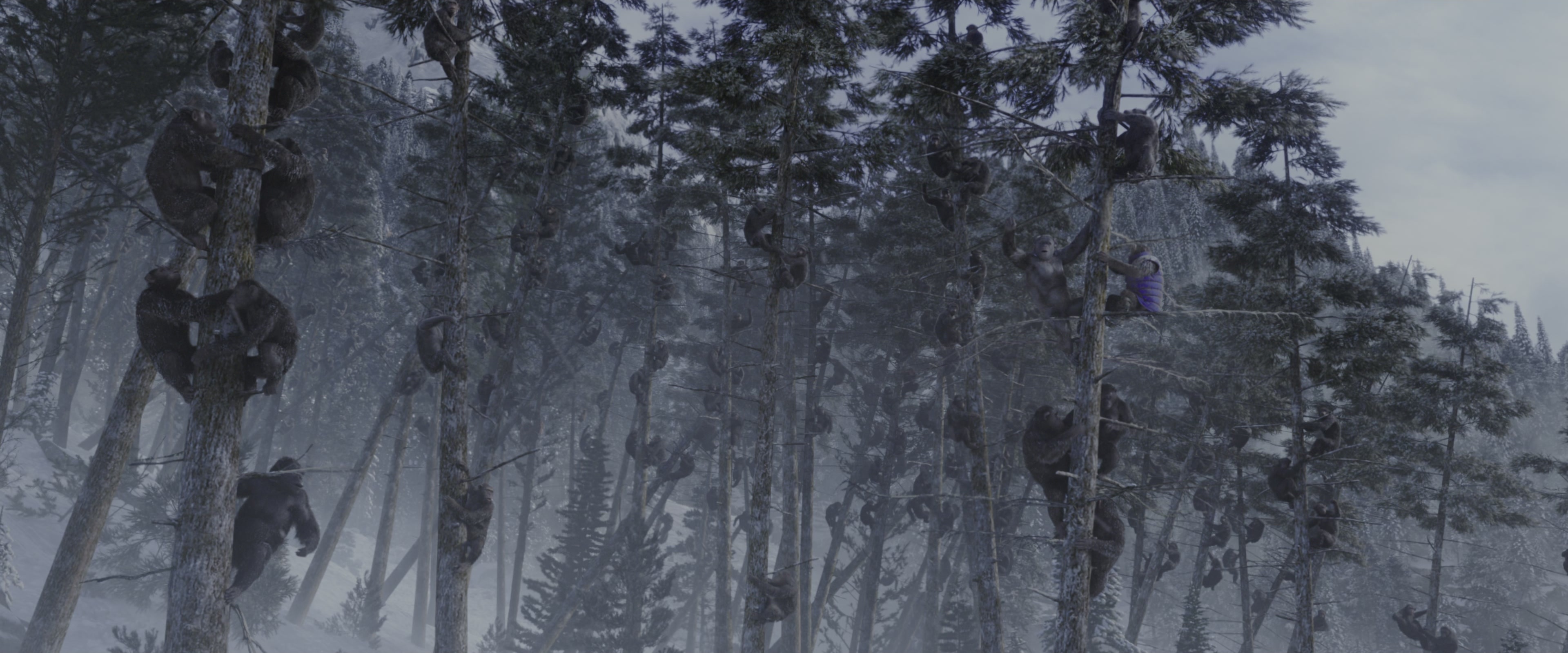 War for the Planet of the Apes (2017), wide, 2.40:1 — film still