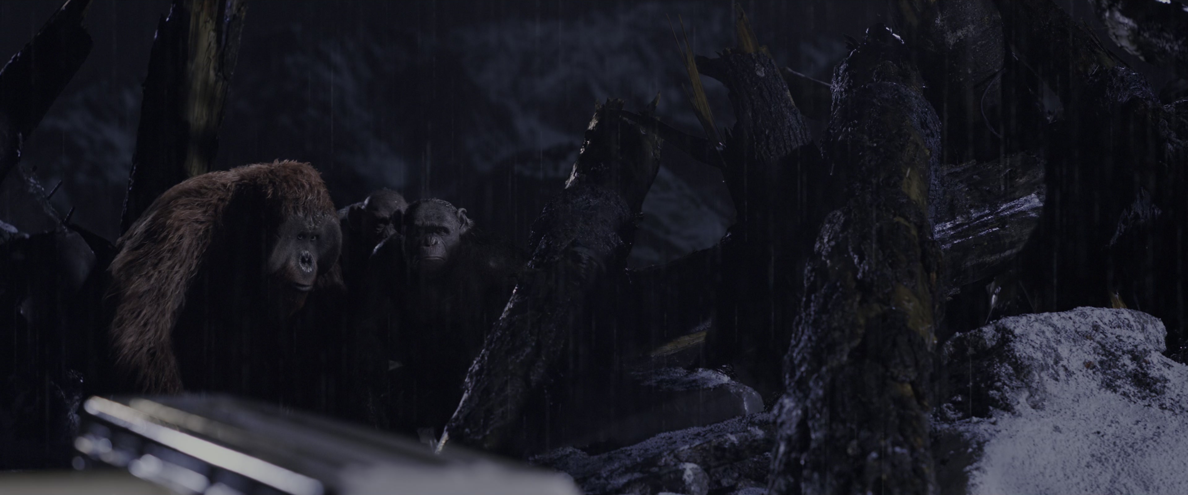 War for the Planet of the Apes (2017), wide, 2.40:1 — film still