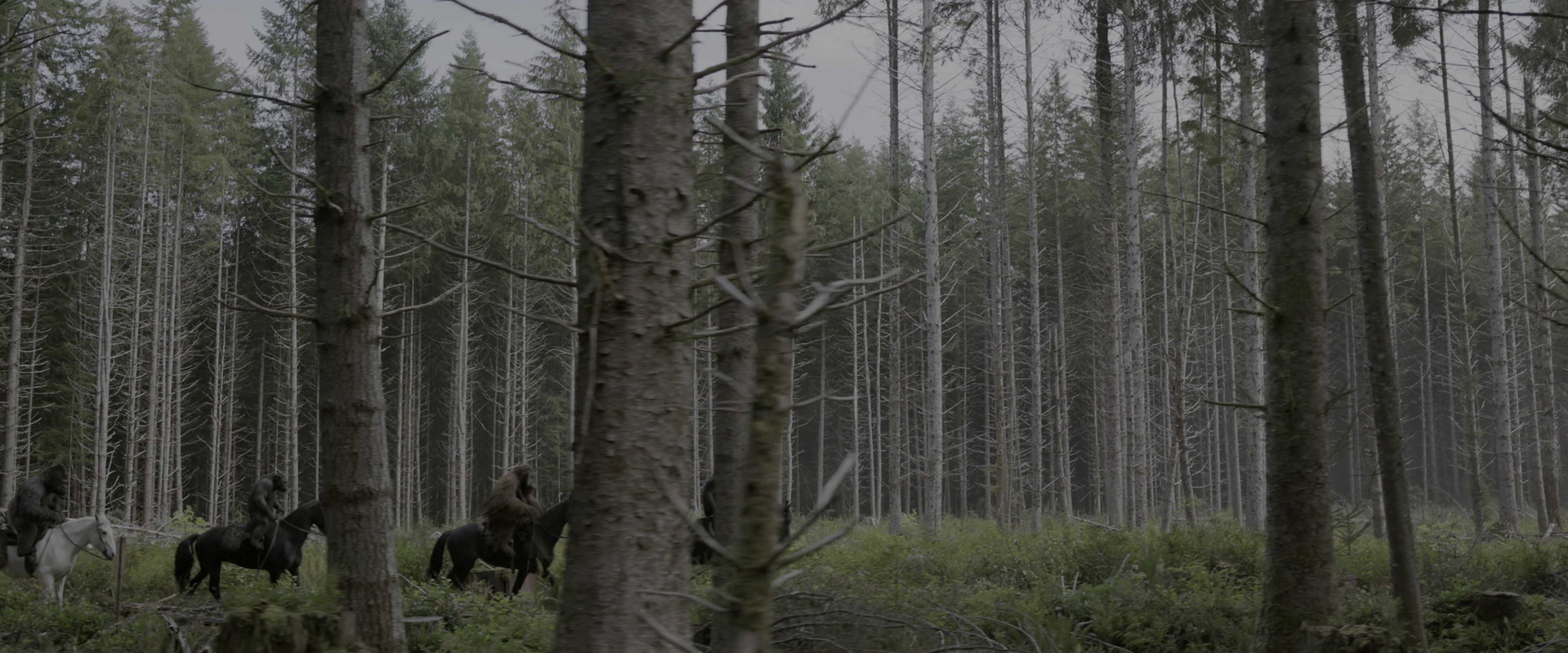 War for the Planet of the Apes (2017), wide, 2.40:1 — film still