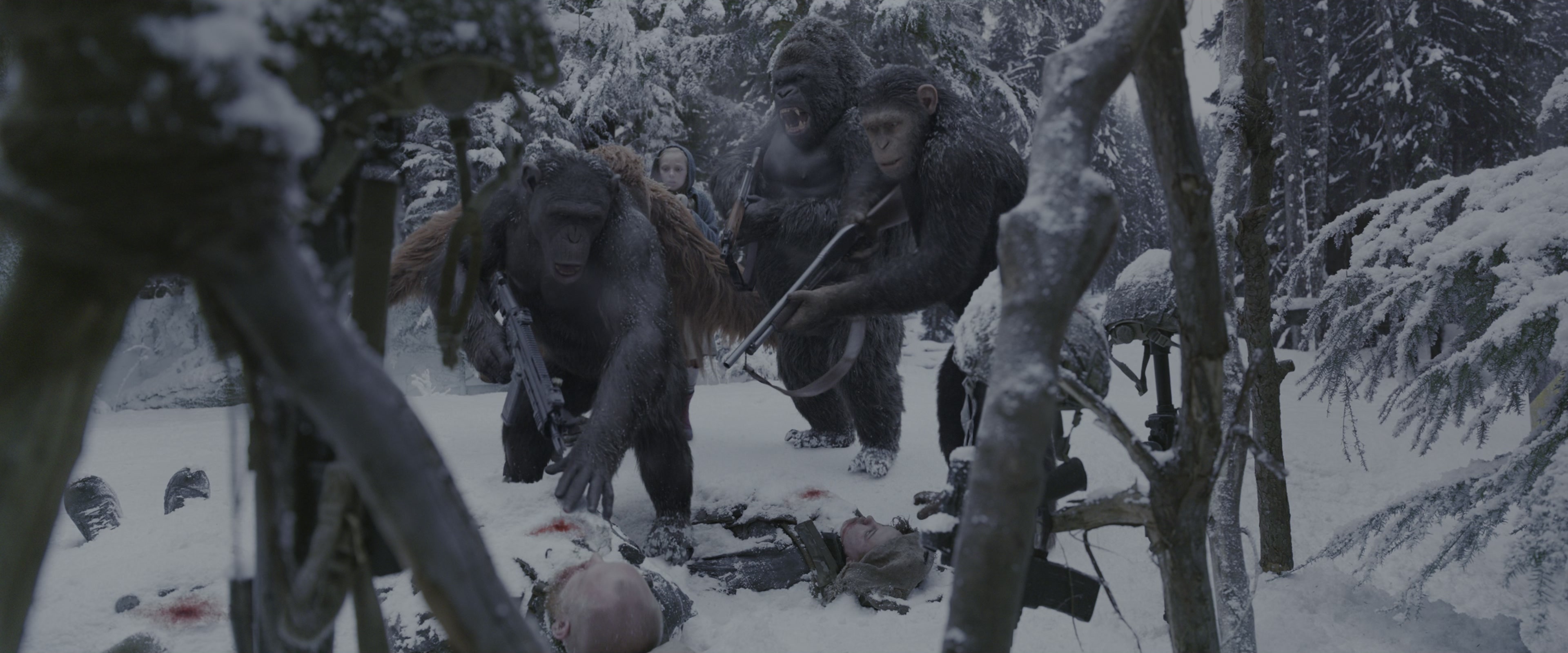 War for the Planet of the Apes (2017), wide, 2.40:1 — film still