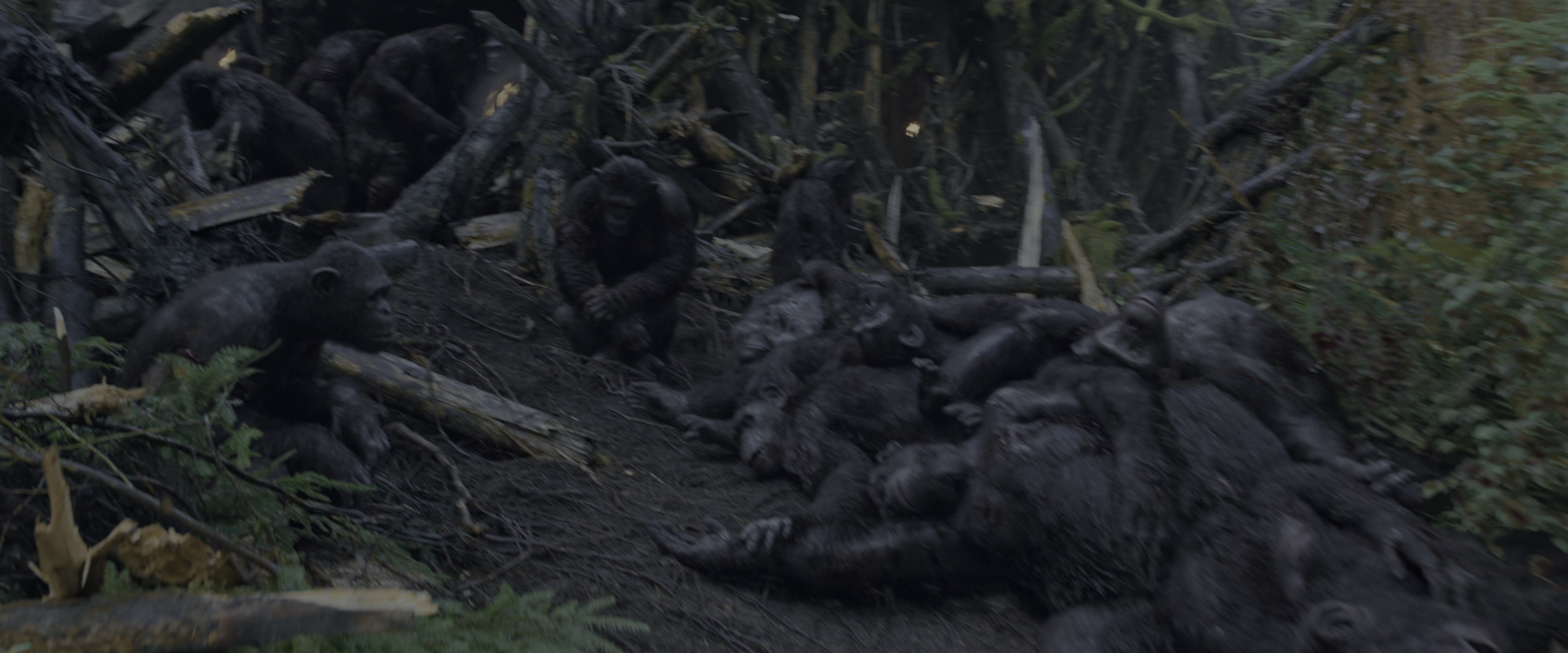 War for the Planet of the Apes (2017), wide, 2.40:1 — film still
