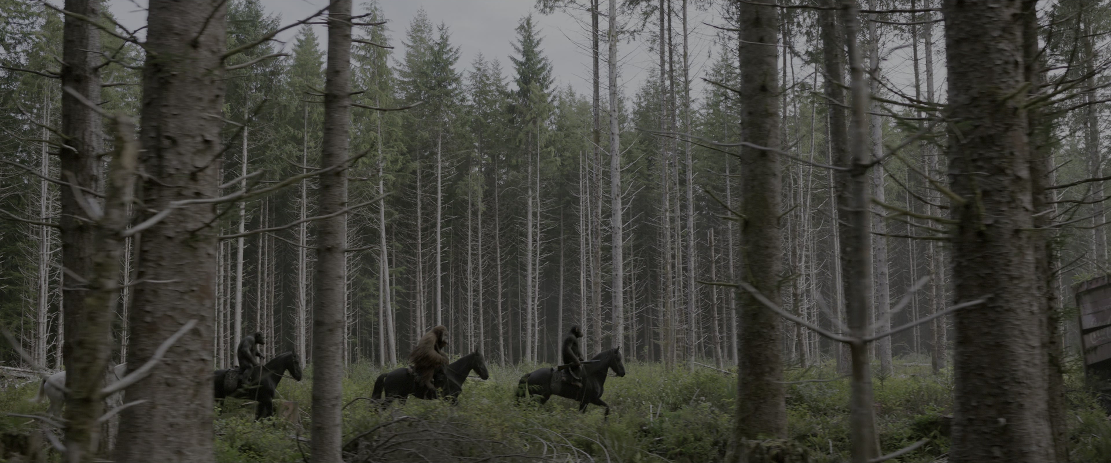 War for the Planet of the Apes (2017), wide, 2.40:1 — film still