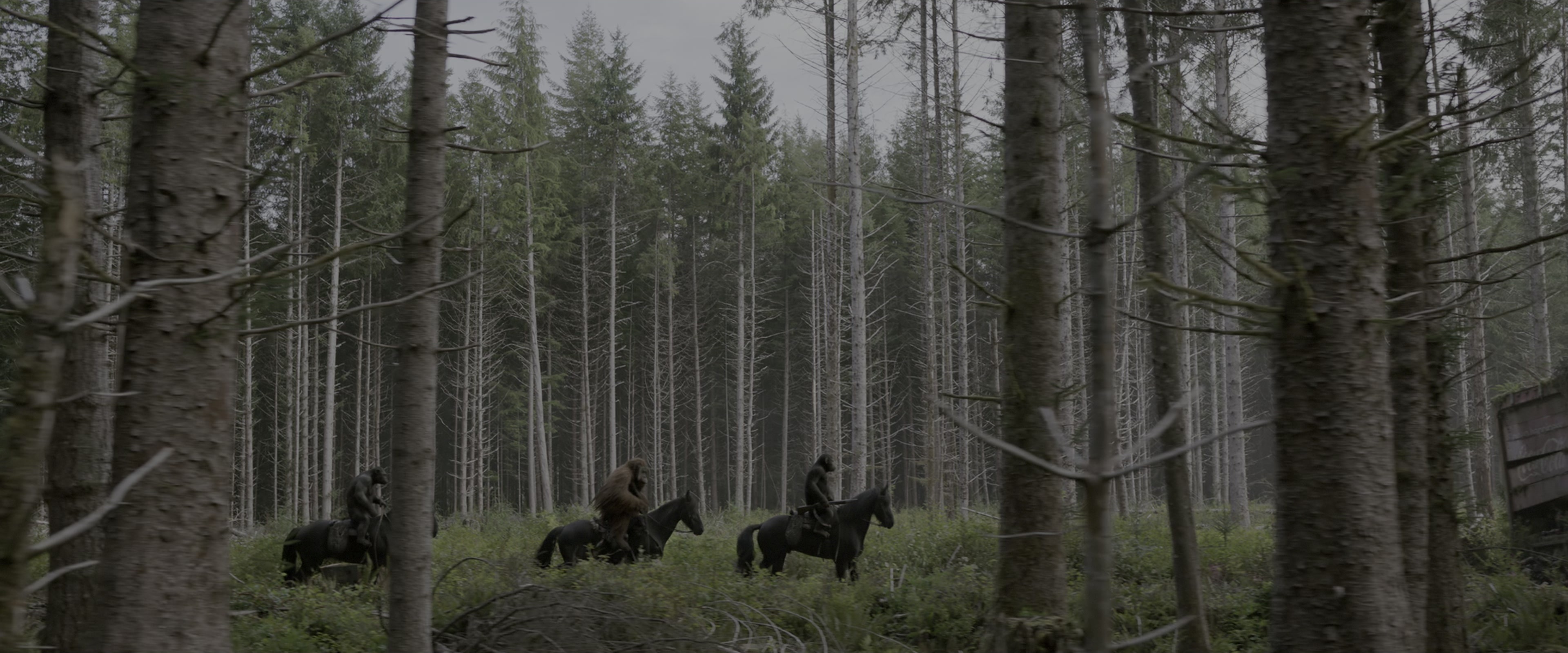 War for the Planet of the Apes (2017), wide, 2.40:1 — film still