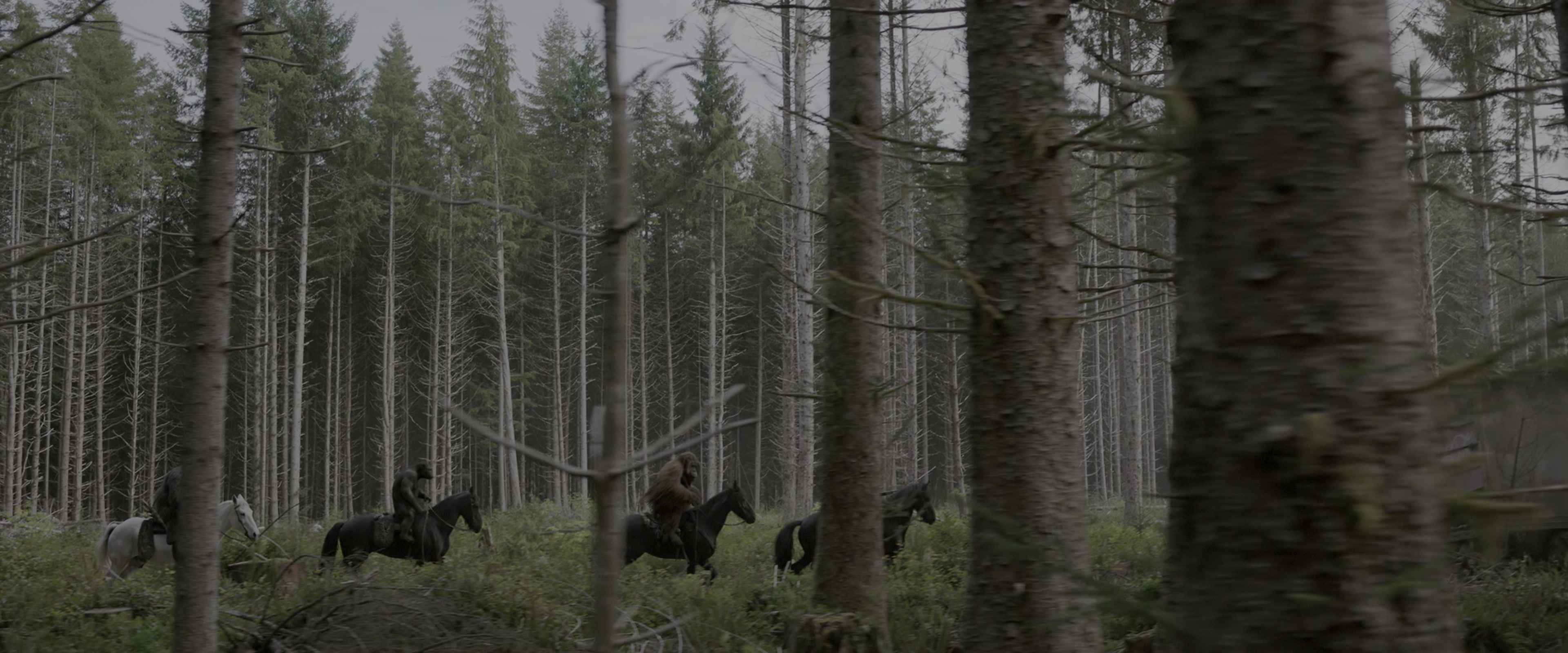 War for the Planet of the Apes (2017), wide, 2.40:1 — film still