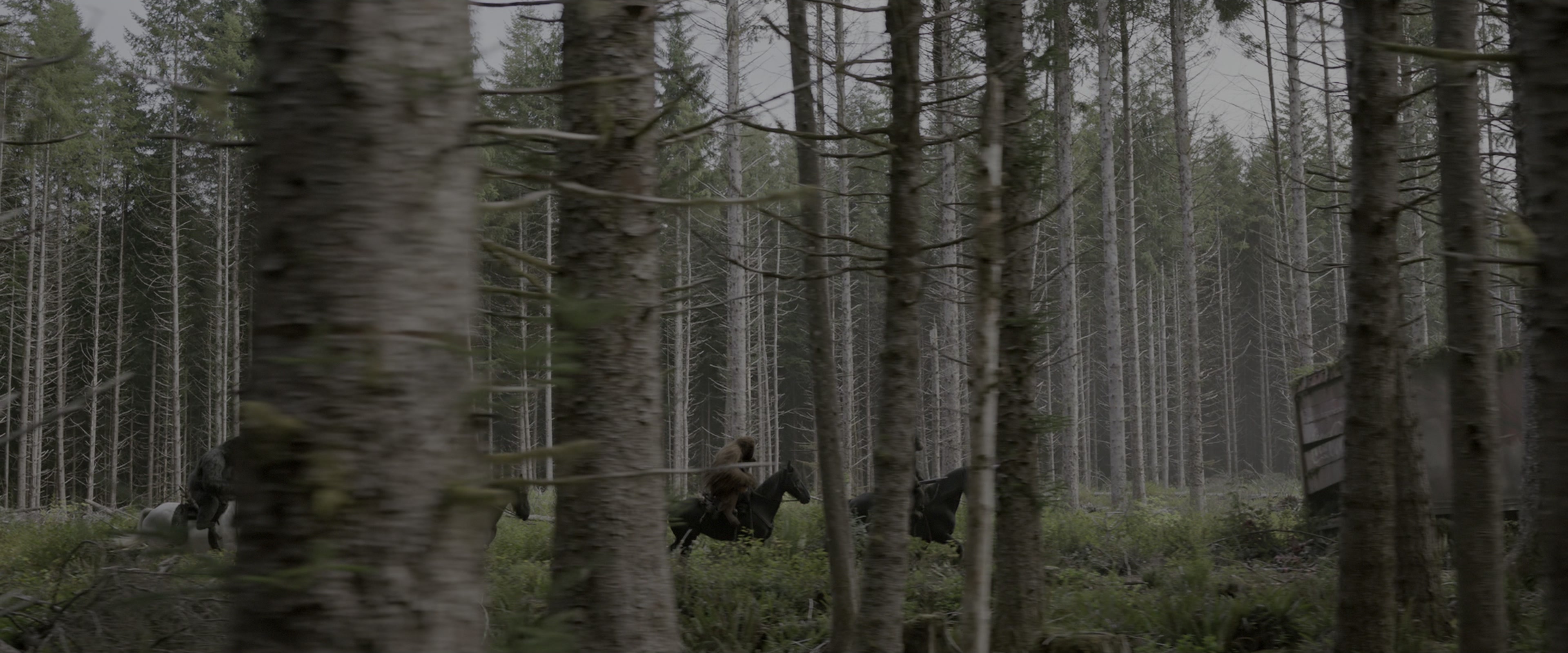 War for the Planet of the Apes (2017), wide, 2.40:1 — film still