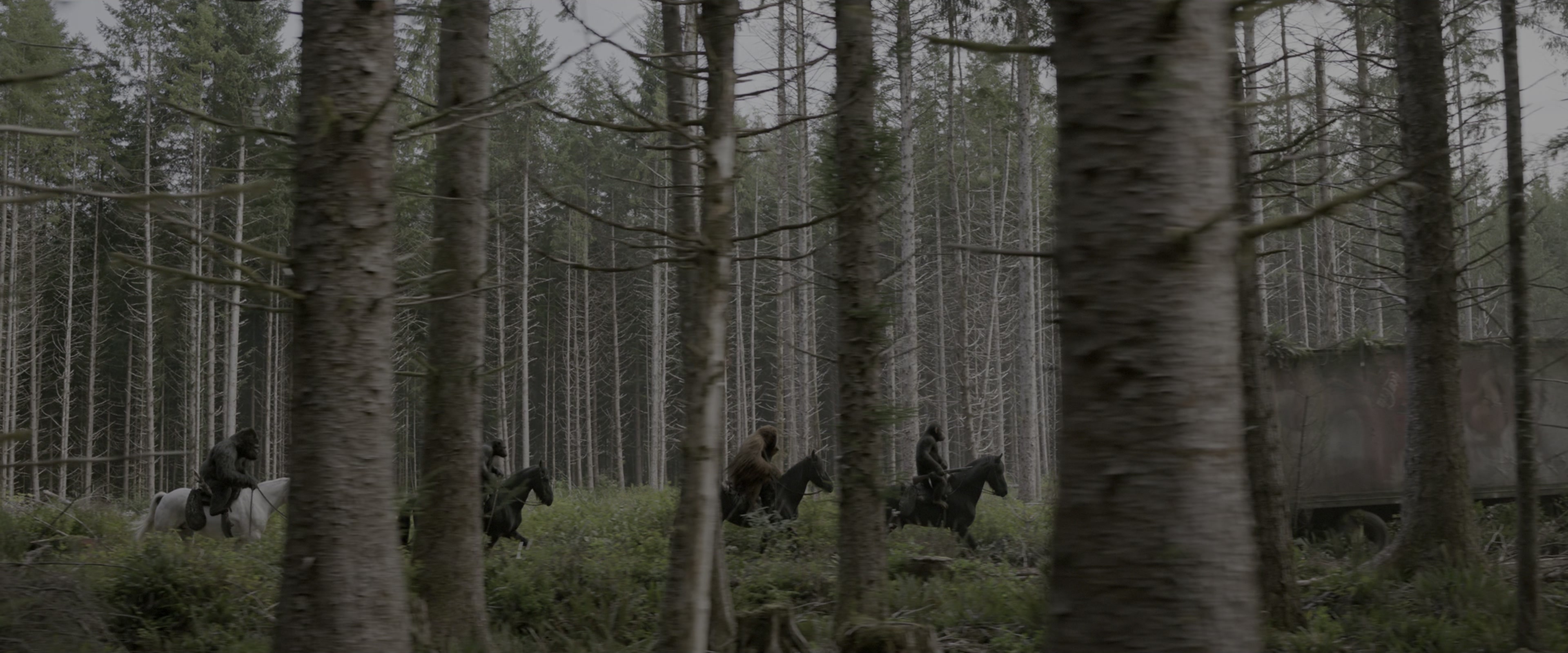 War for the Planet of the Apes (2017), wide, 2.40:1 — film still