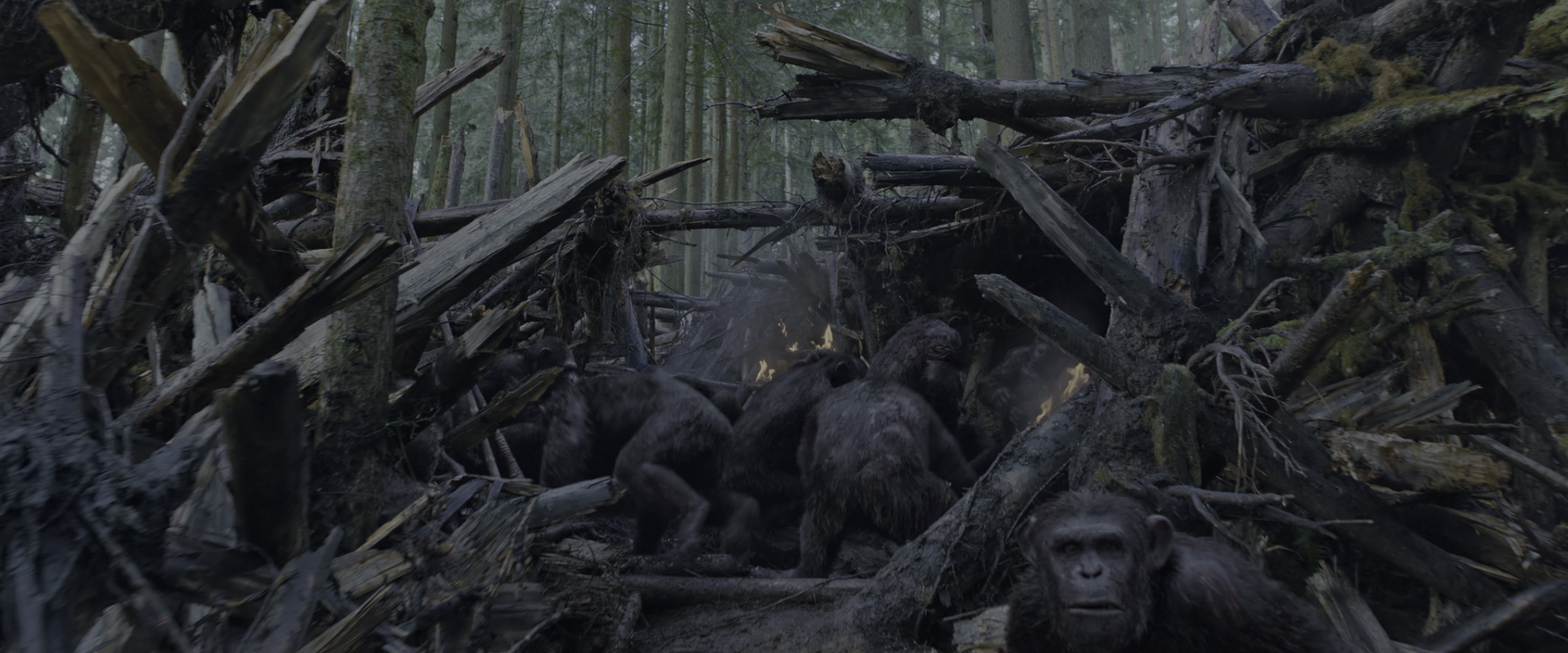 War for the Planet of the Apes (2017), wide, 2.40:1 — film still
