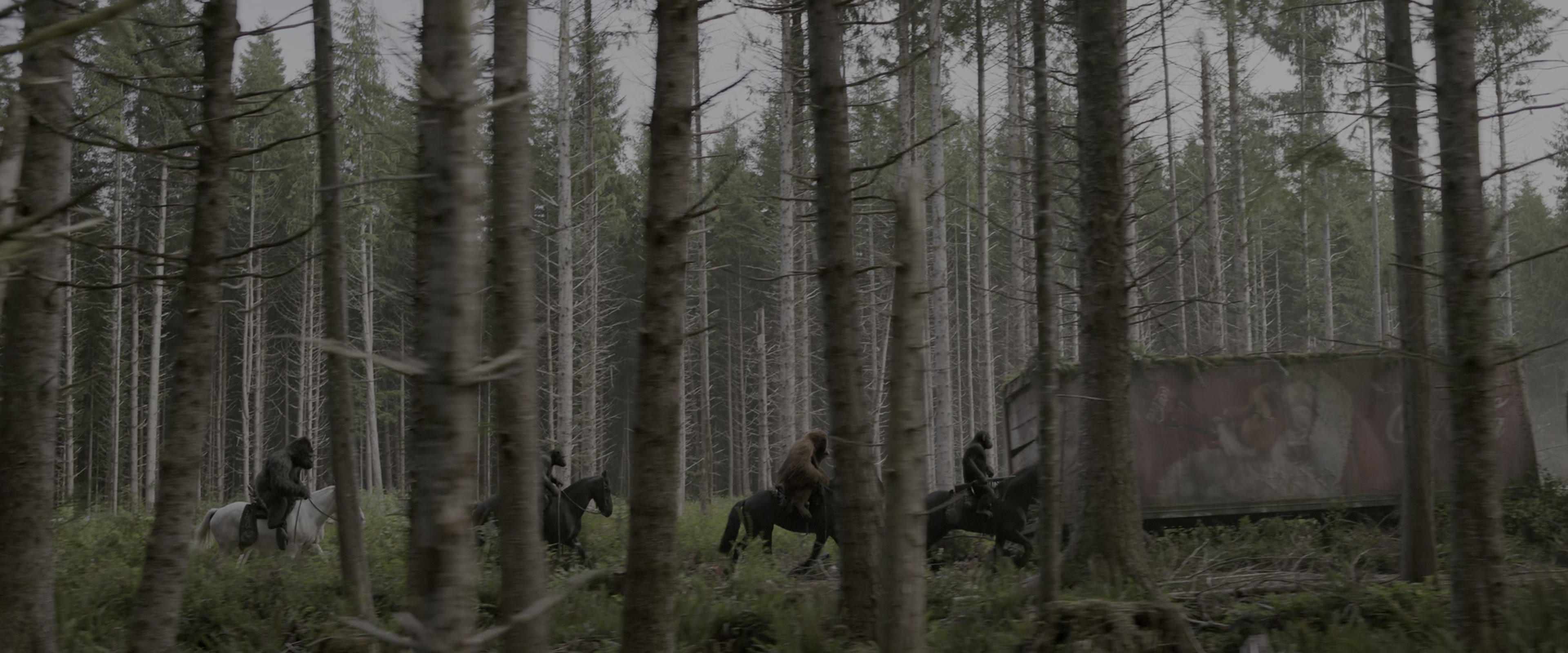 War for the Planet of the Apes (2017), wide, 2.40:1 — film still