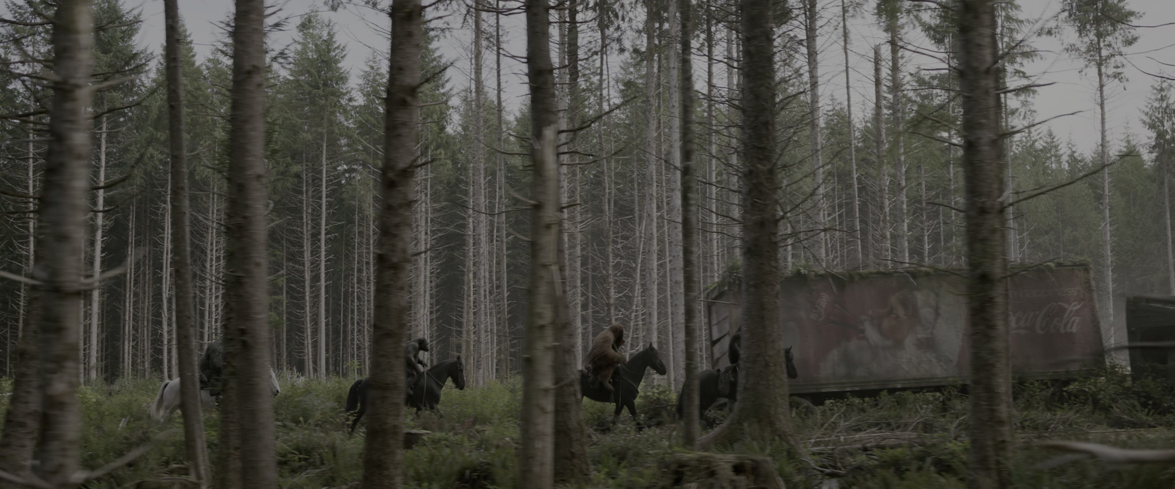 War for the Planet of the Apes (2017), wide, 2.40:1 — film still