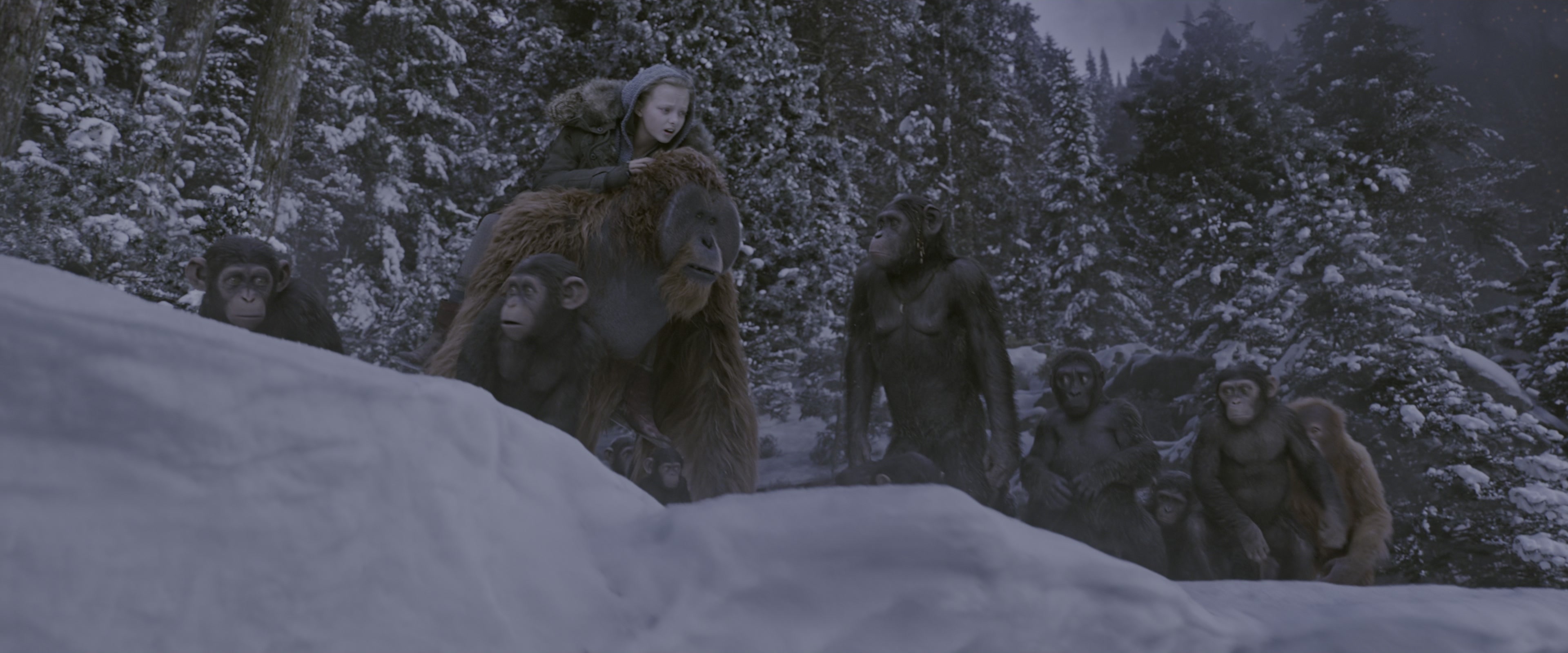War for the Planet of the Apes (2017), wide, 2.40:1 — film still