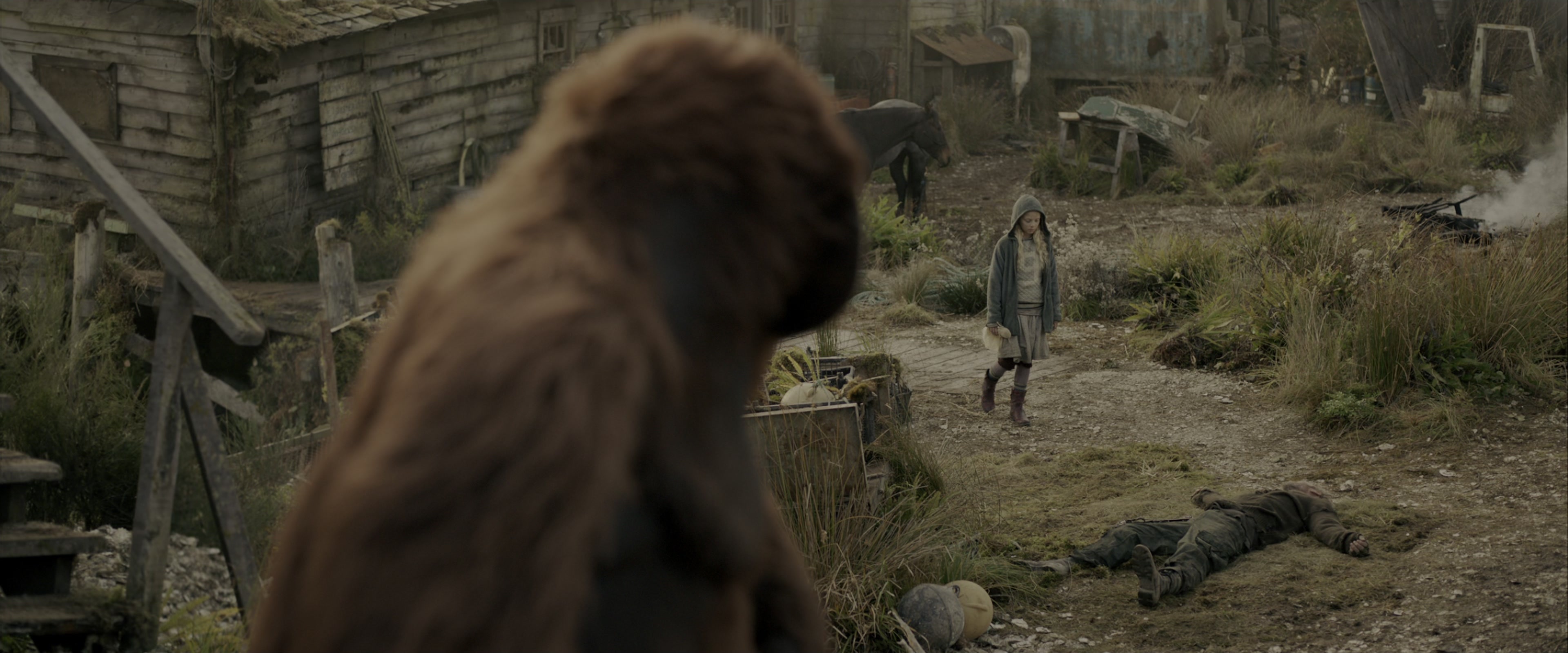 War for the Planet of the Apes (2017), wide, 2.40:1 — film still