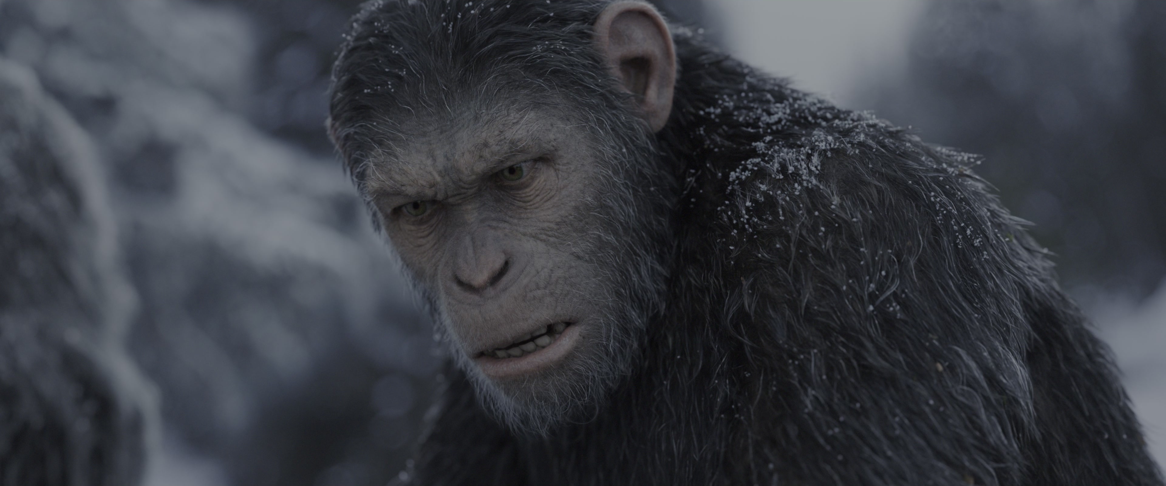 War for the Planet of the Apes (2017), wide, 2.40:1 — film still