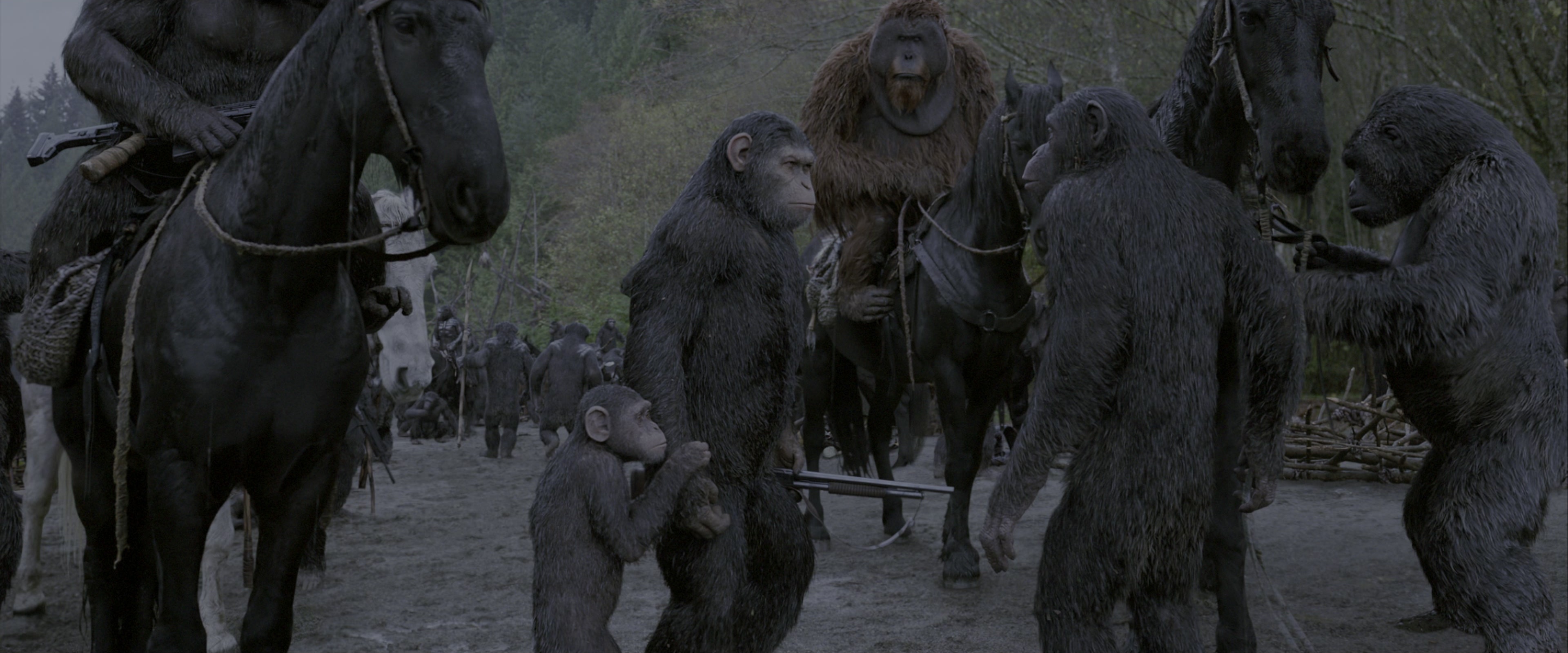 War for the Planet of the Apes (2017), wide, 2.40:1 — film still