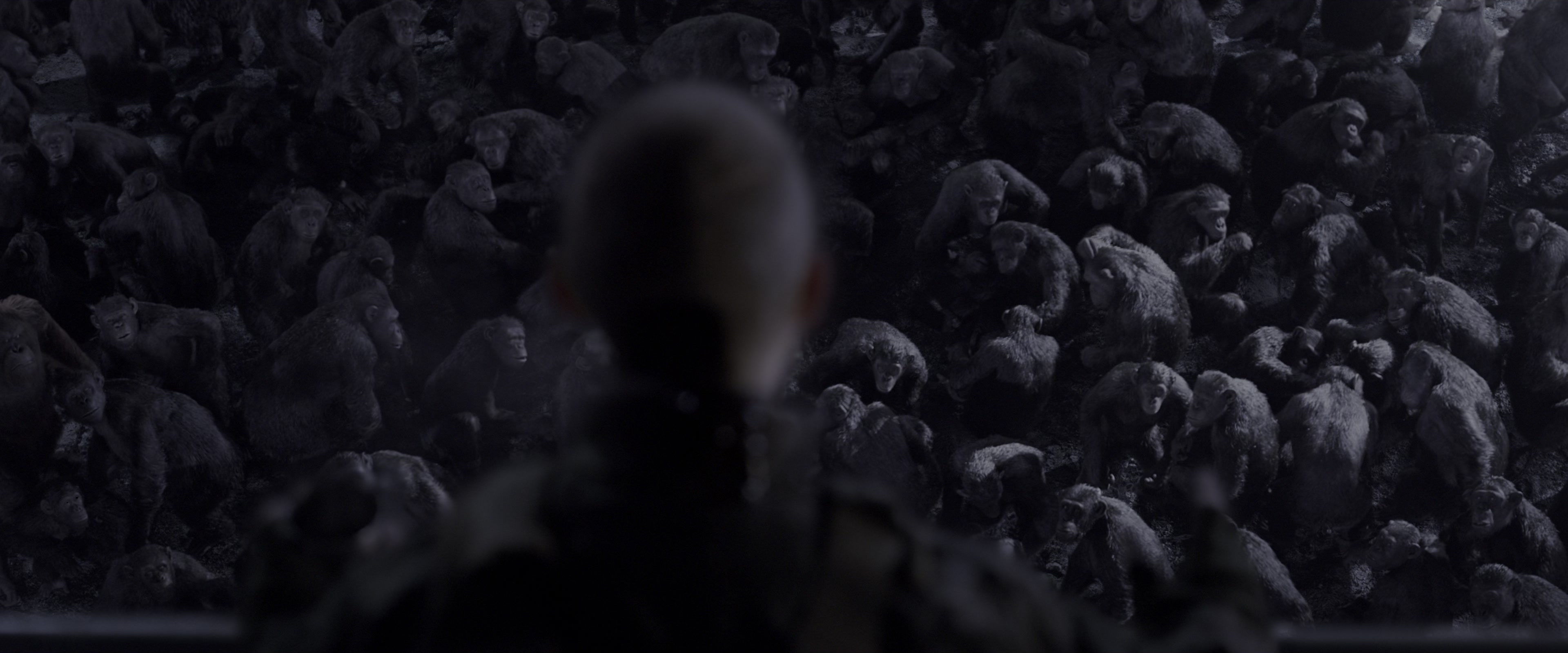 War for the Planet of the Apes (2017), wide, 2.40:1 — film still