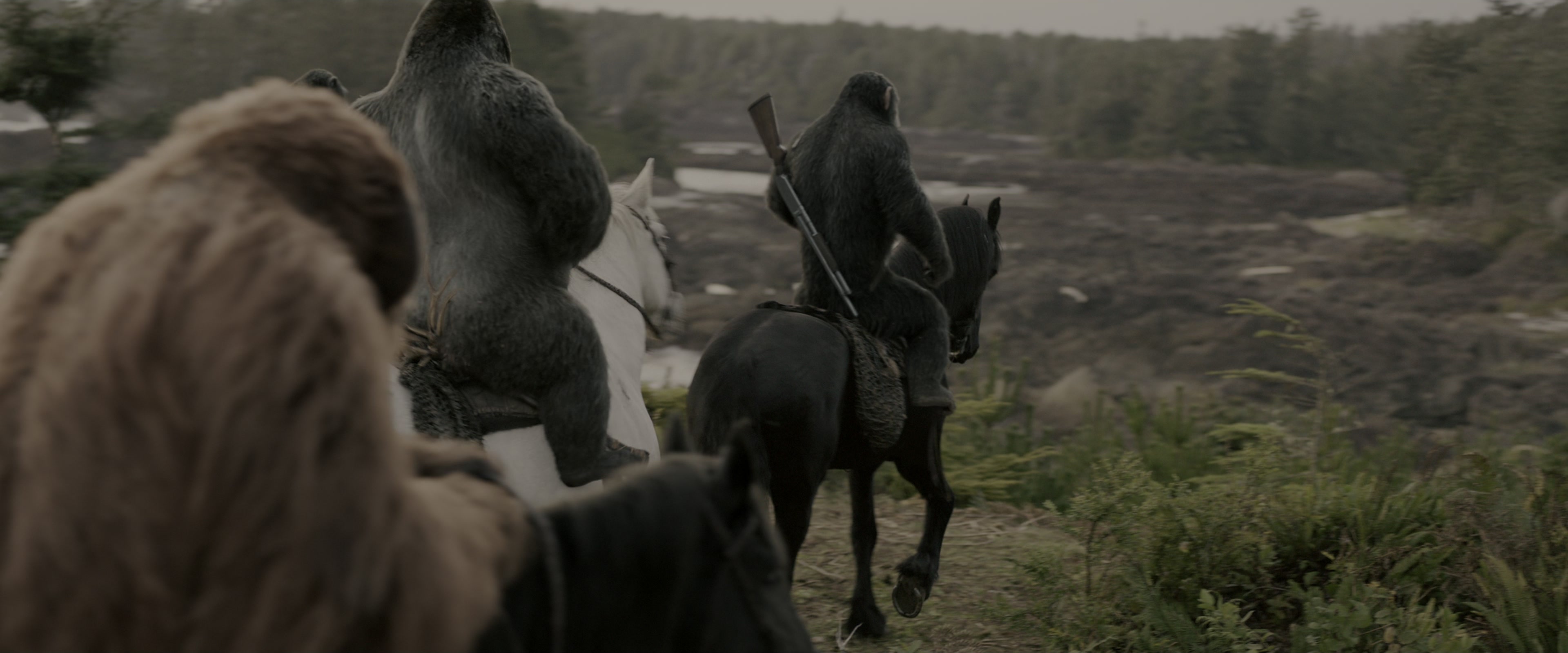 War for the Planet of the Apes (2017), wide, 2.40:1 — film still