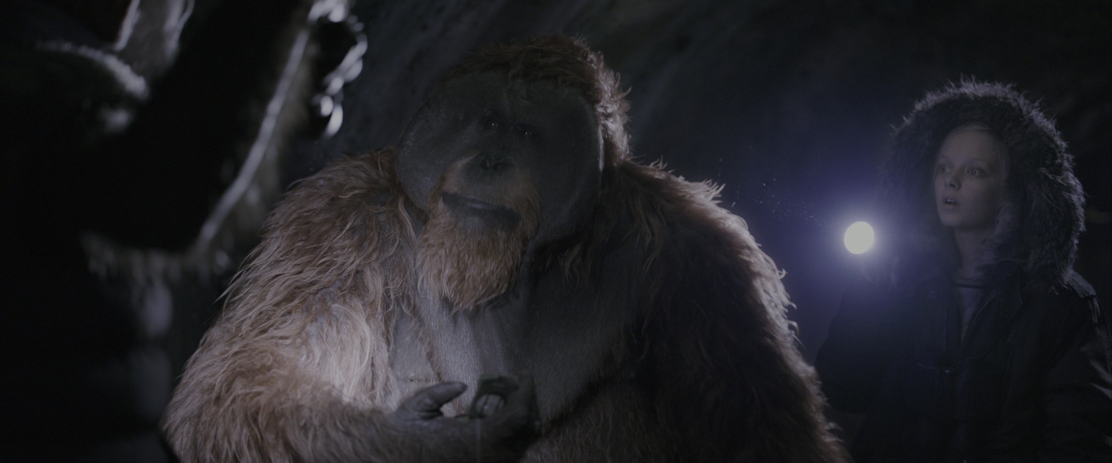War for the Planet of the Apes (2017), wide, 2.40:1 — film still