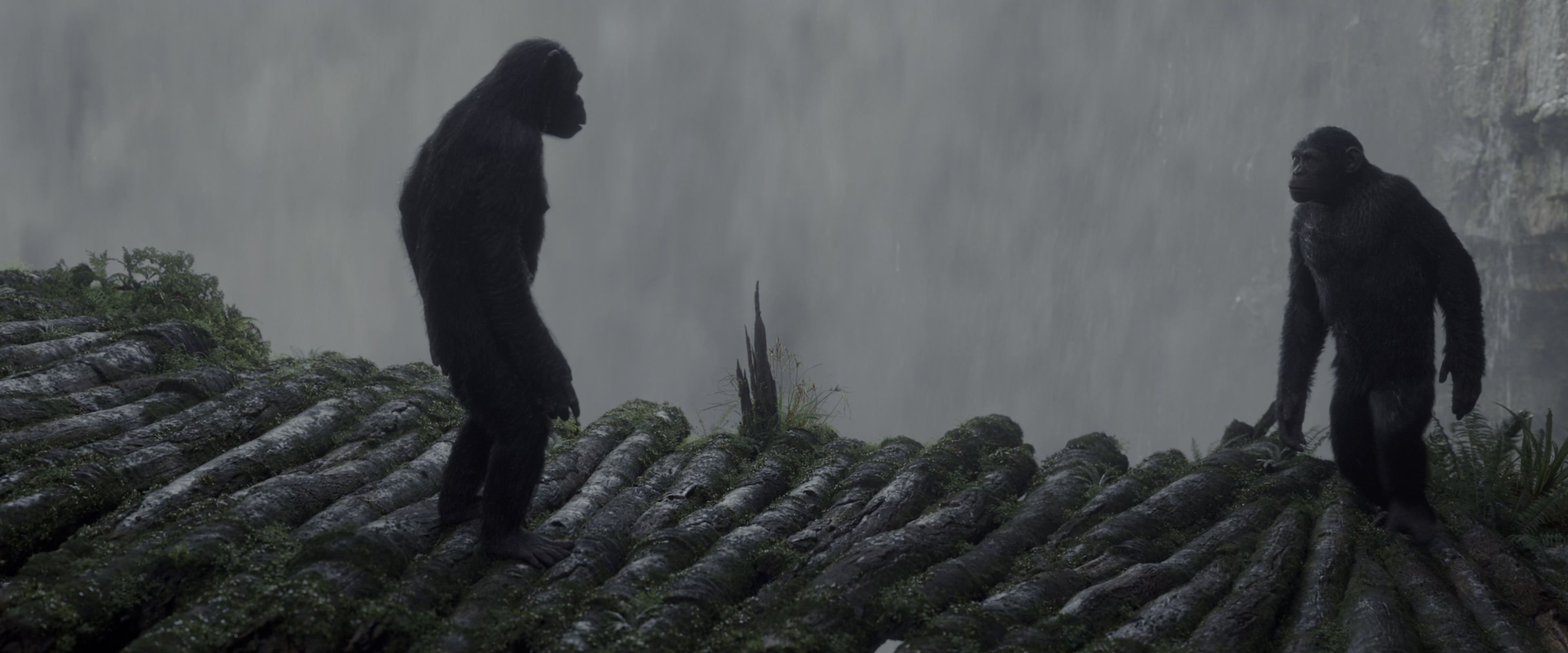 War for the Planet of the Apes (2017), wide, 2.40:1 — film still