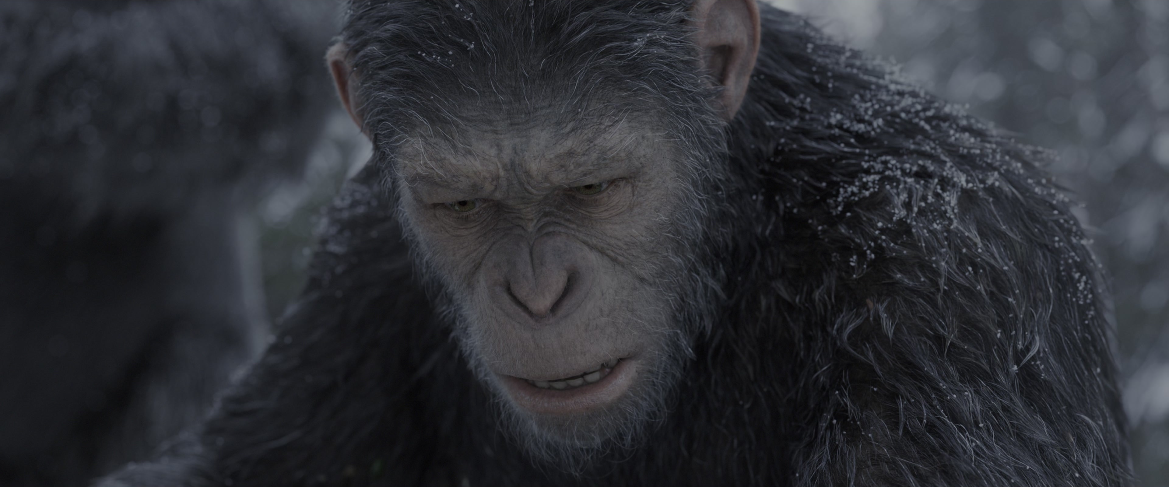 War for the Planet of the Apes (2017), wide, 2.40:1 — film still