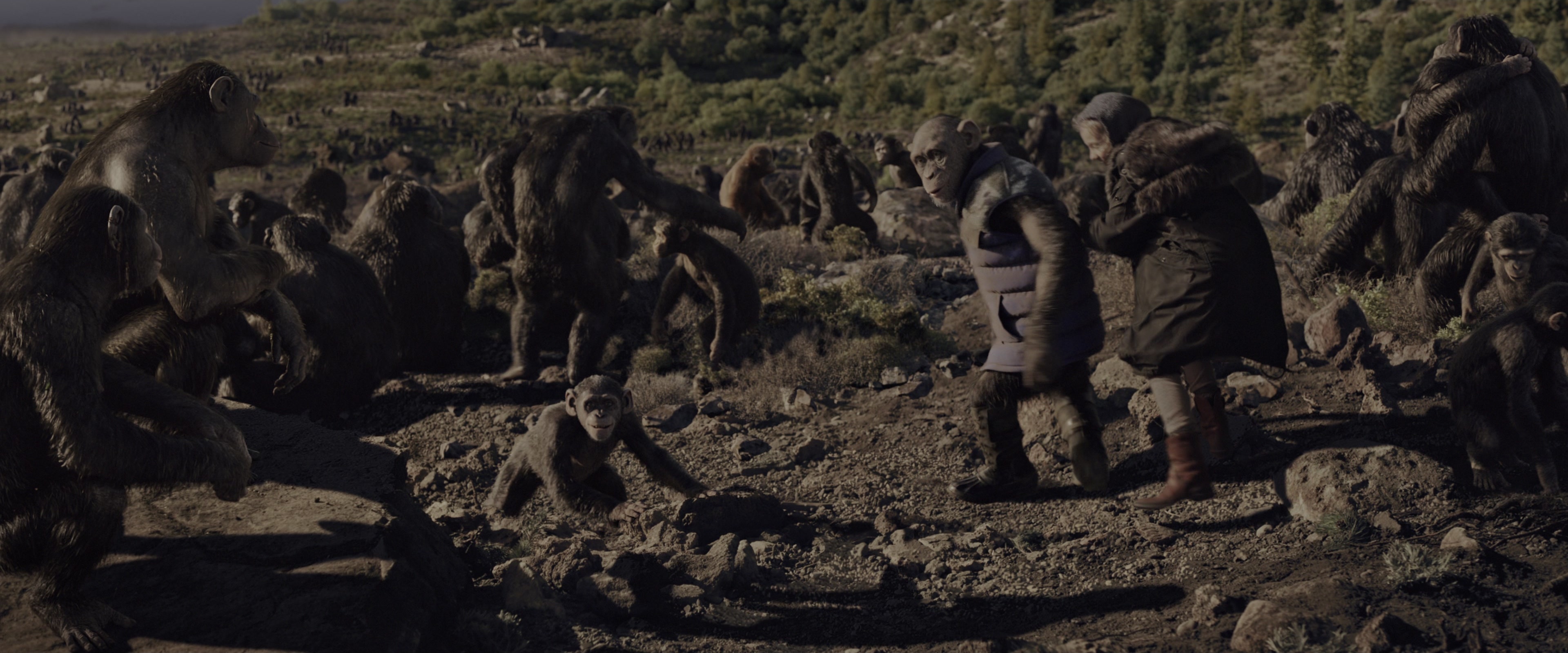 War for the Planet of the Apes (2017), wide, 2.40:1 — film still