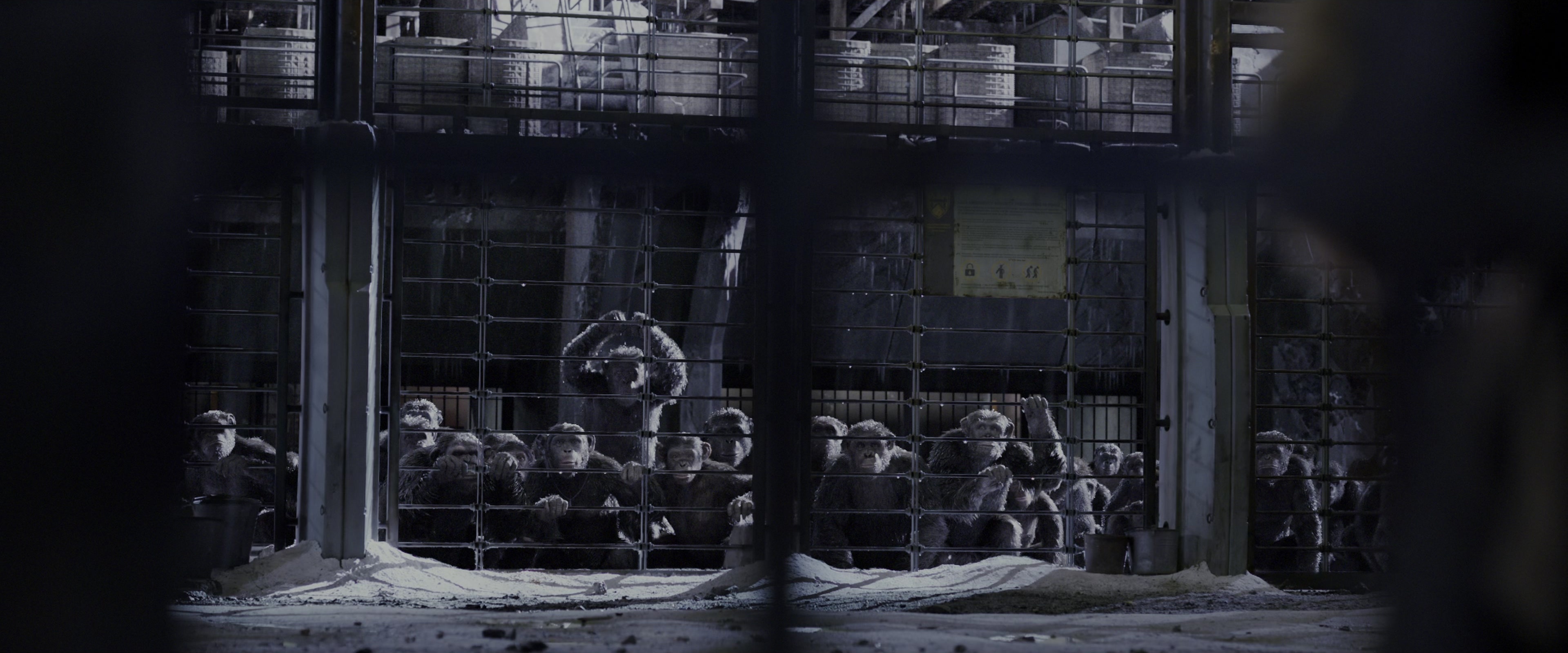 War for the Planet of the Apes (2017), wide, 2.40:1 — film still