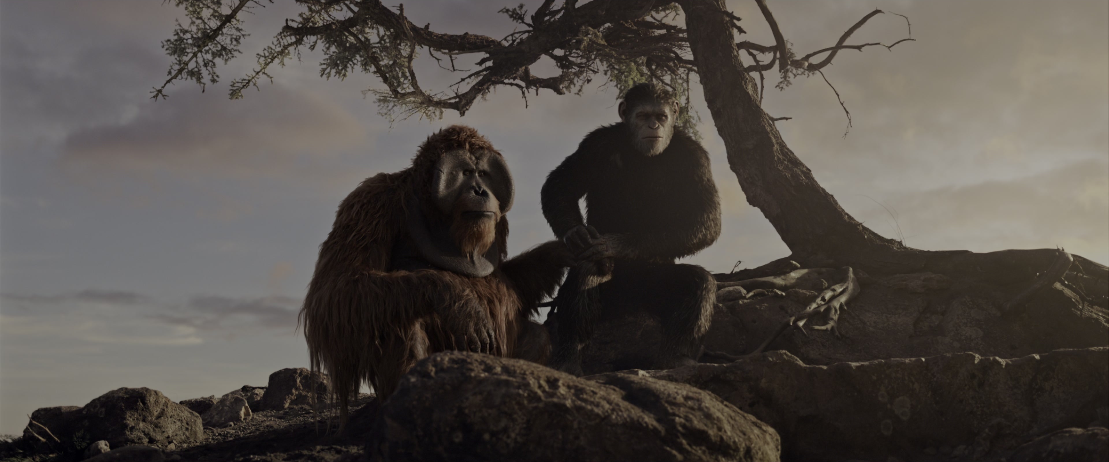 War for the Planet of the Apes (2017), wide, 2.40:1 — film still