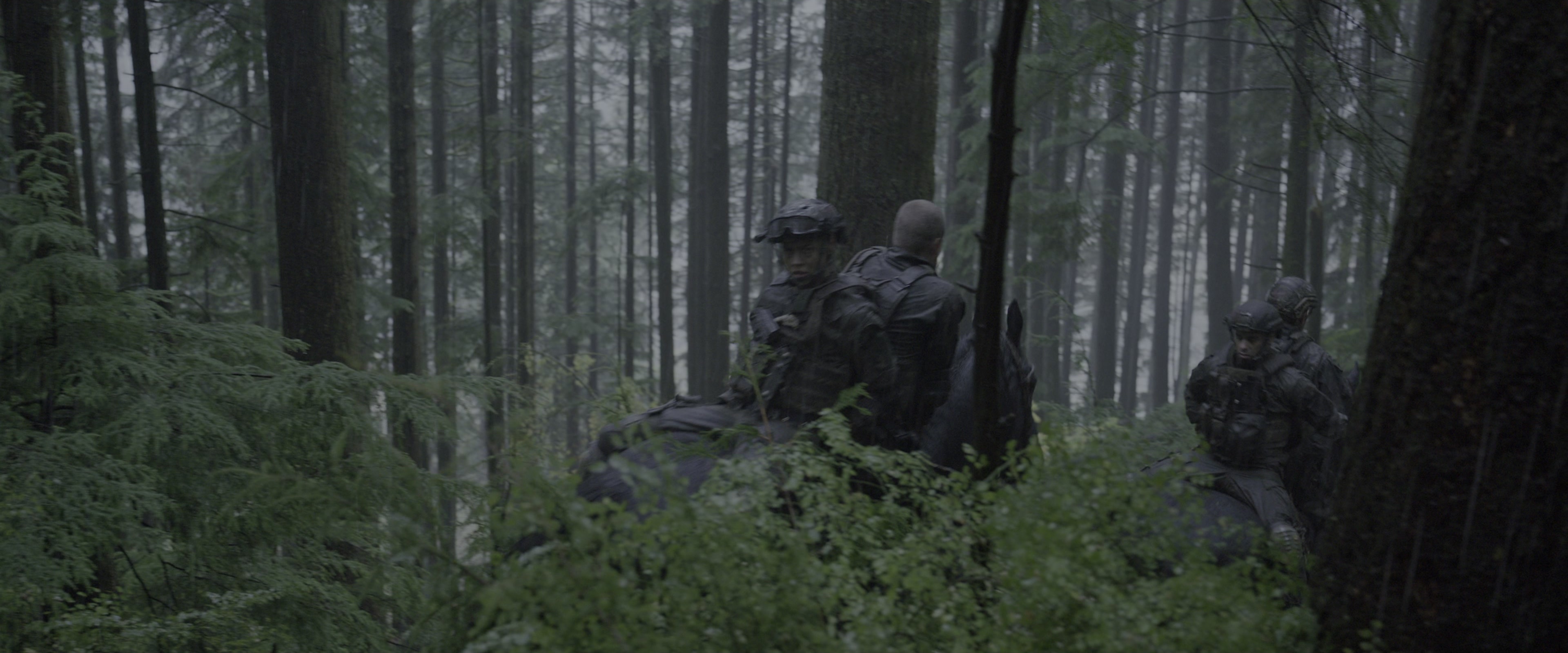 War for the Planet of the Apes (2017), wide, 2.40:1 — film still