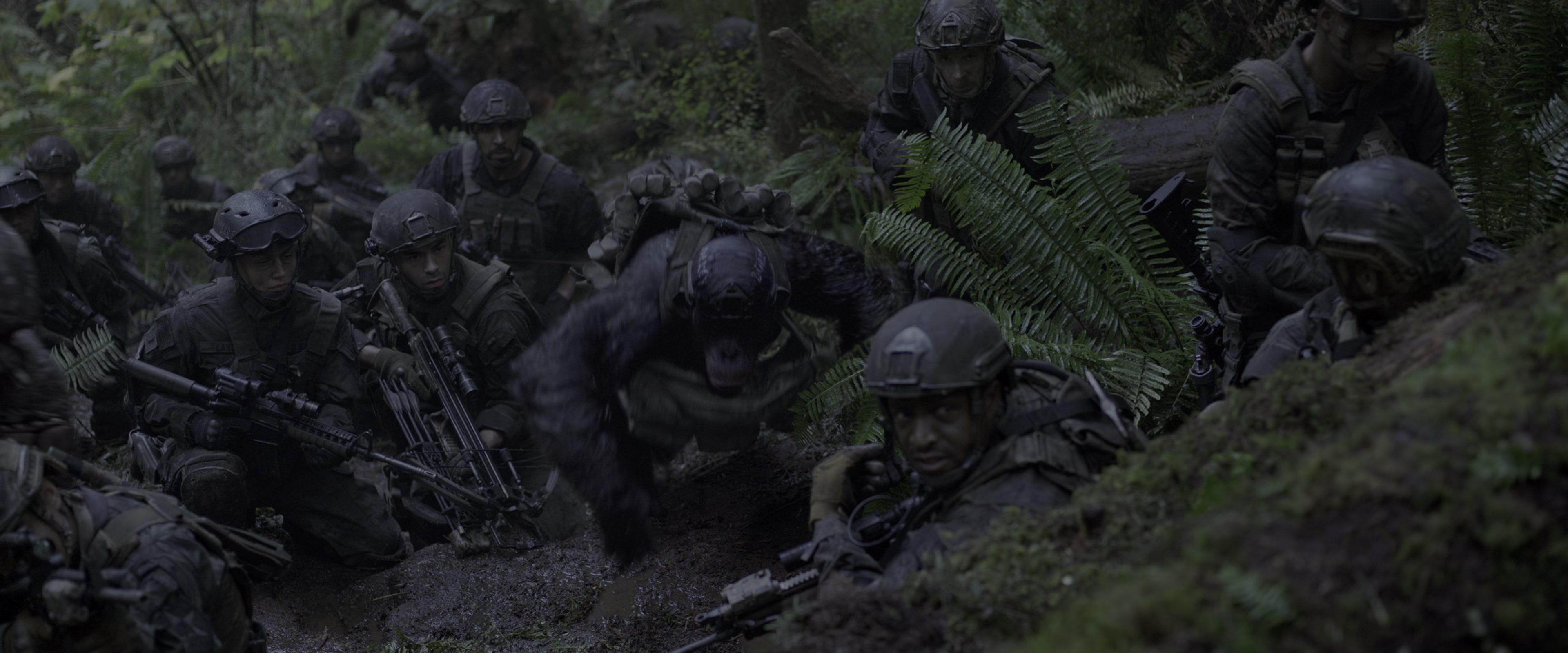 War for the Planet of the Apes (2017), wide, 2.40:1 — film still