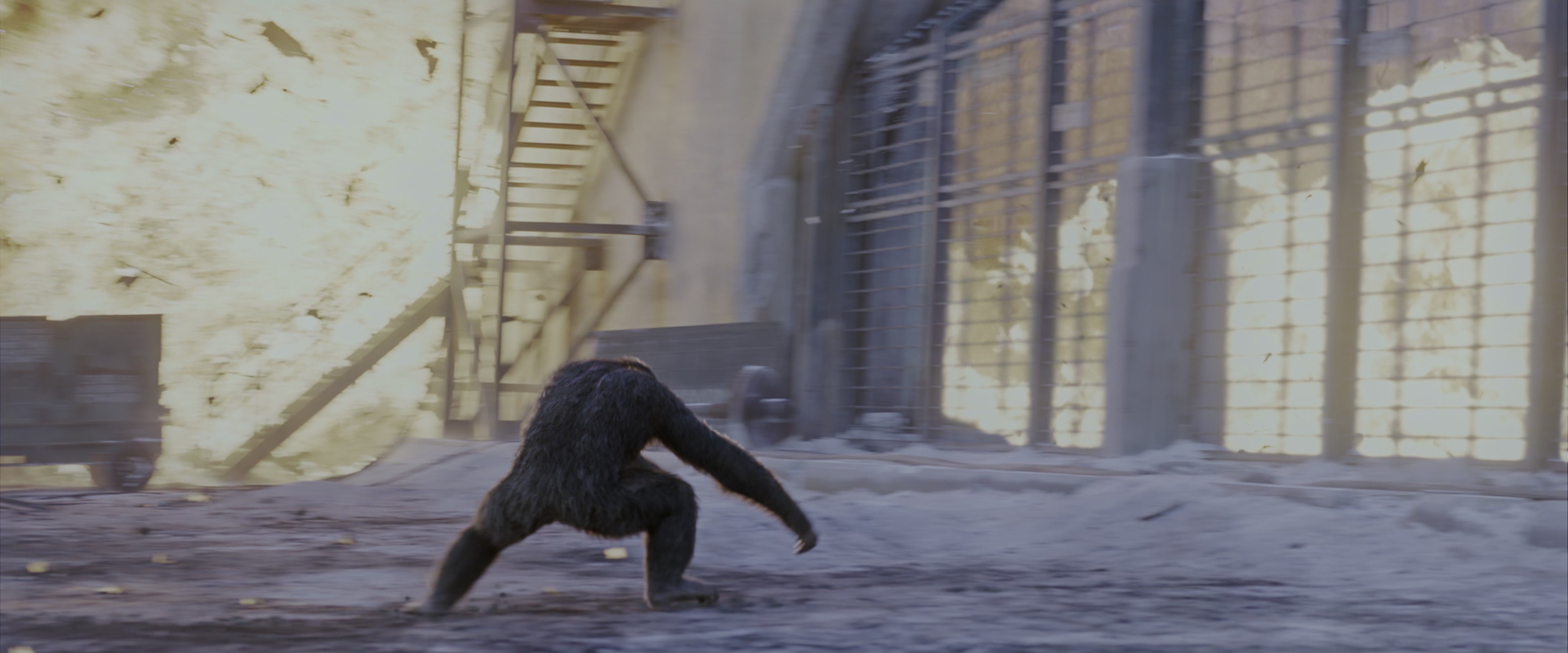War for the Planet of the Apes (2017), wide, 2.40:1 — film still
