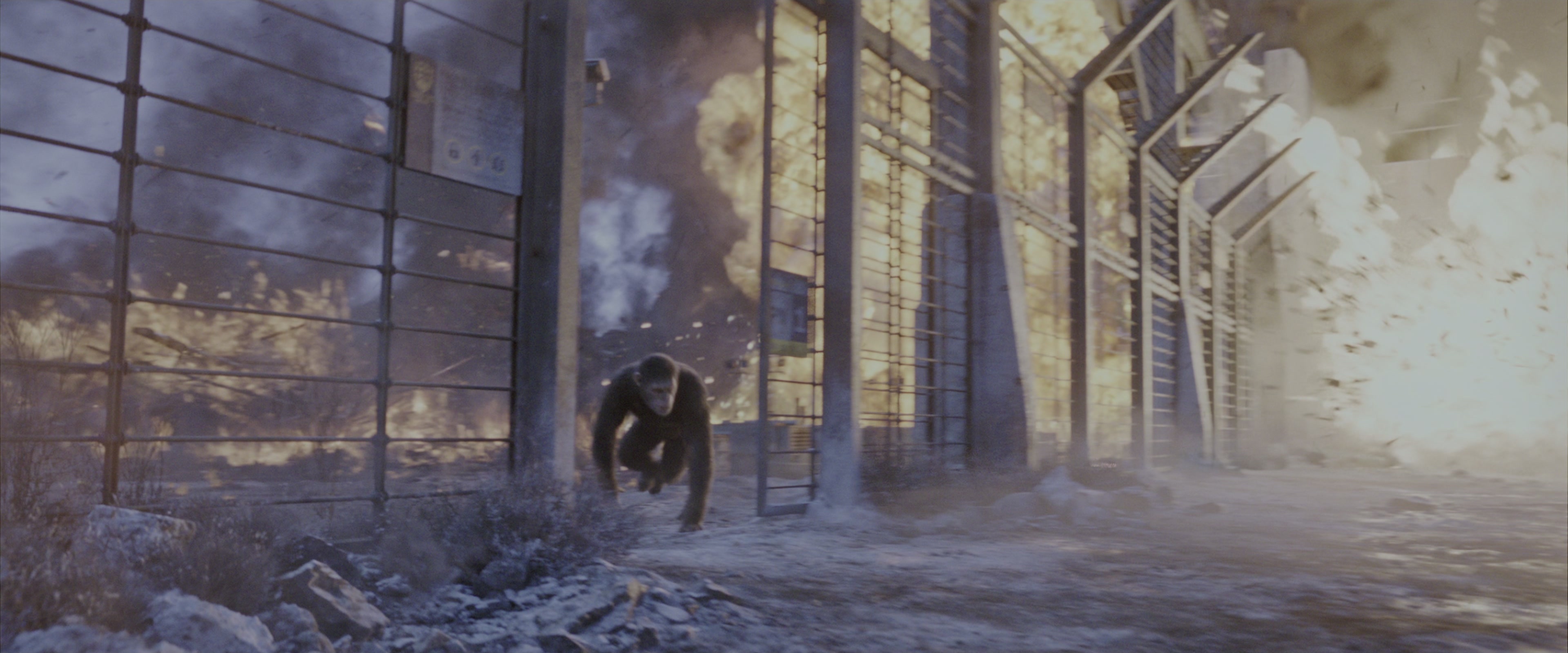 War for the Planet of the Apes (2017), wide, 2.40:1 — film still