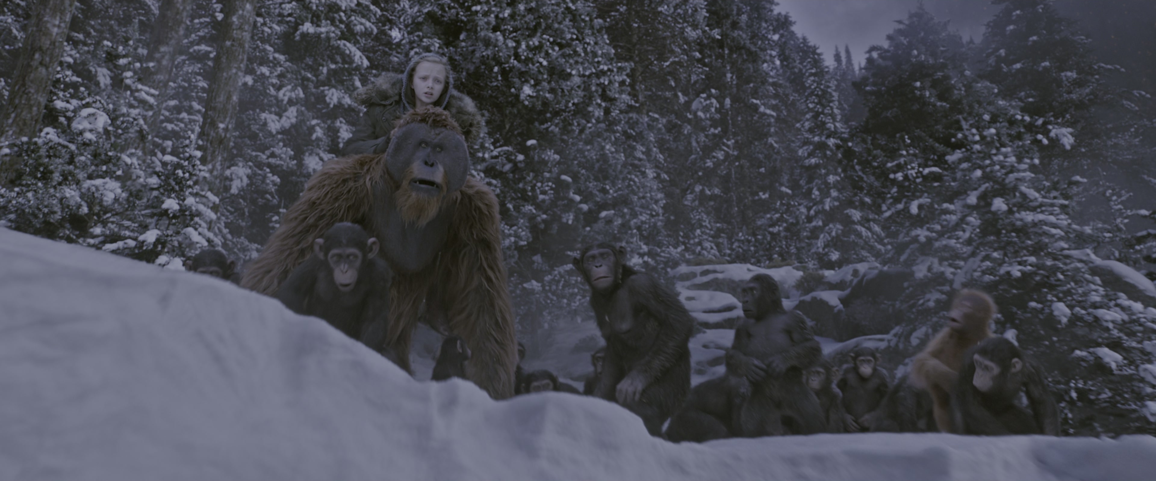 War for the Planet of the Apes (2017), wide, 2.40:1 — film still