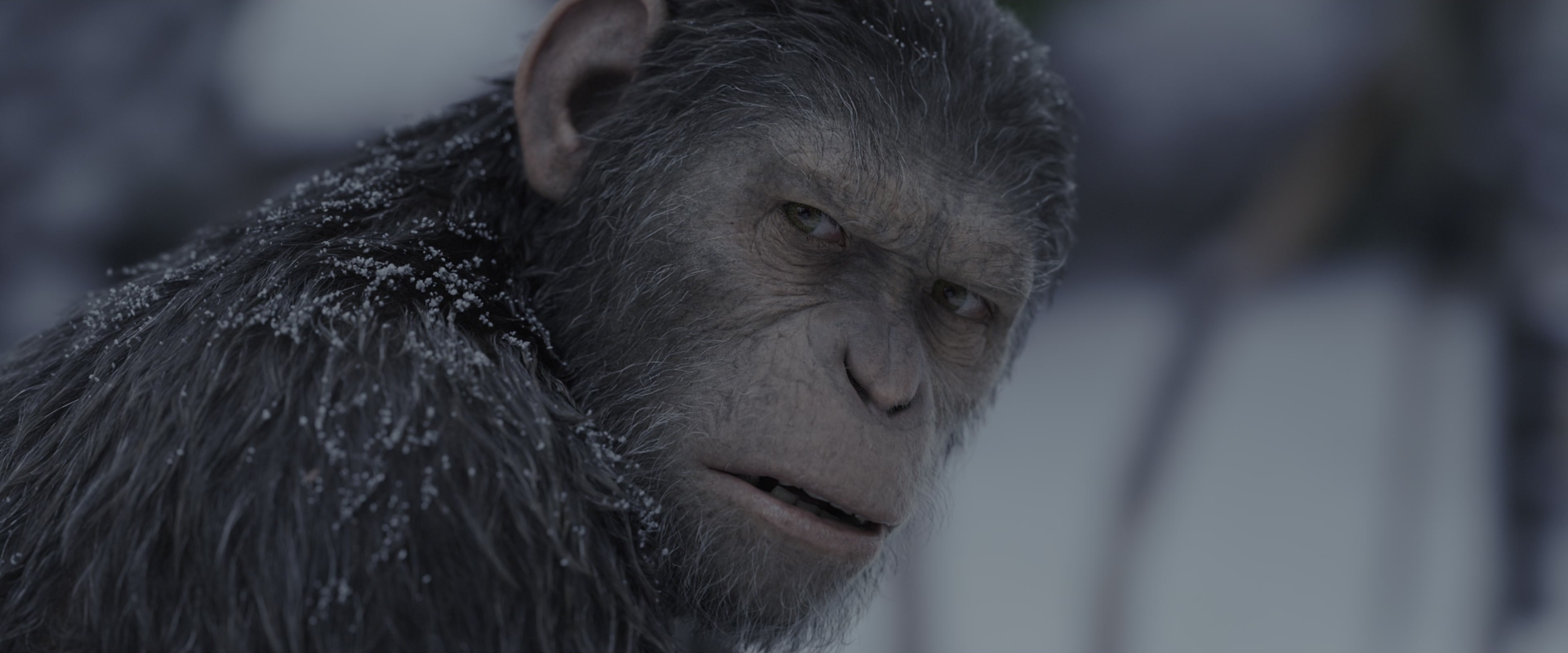 War for the Planet of the Apes (2017), wide, 2.40:1 — film still