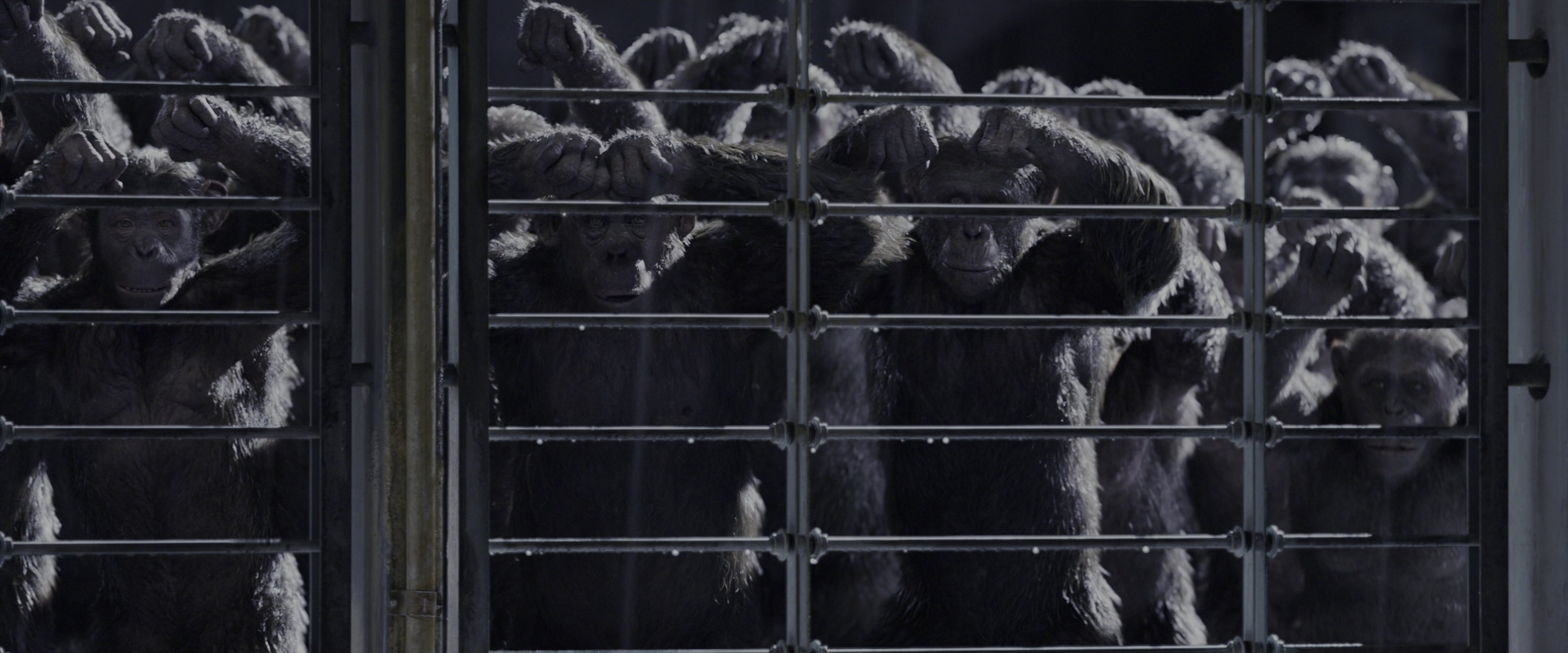 War for the Planet of the Apes (2017), wide, 2.40:1 — film still