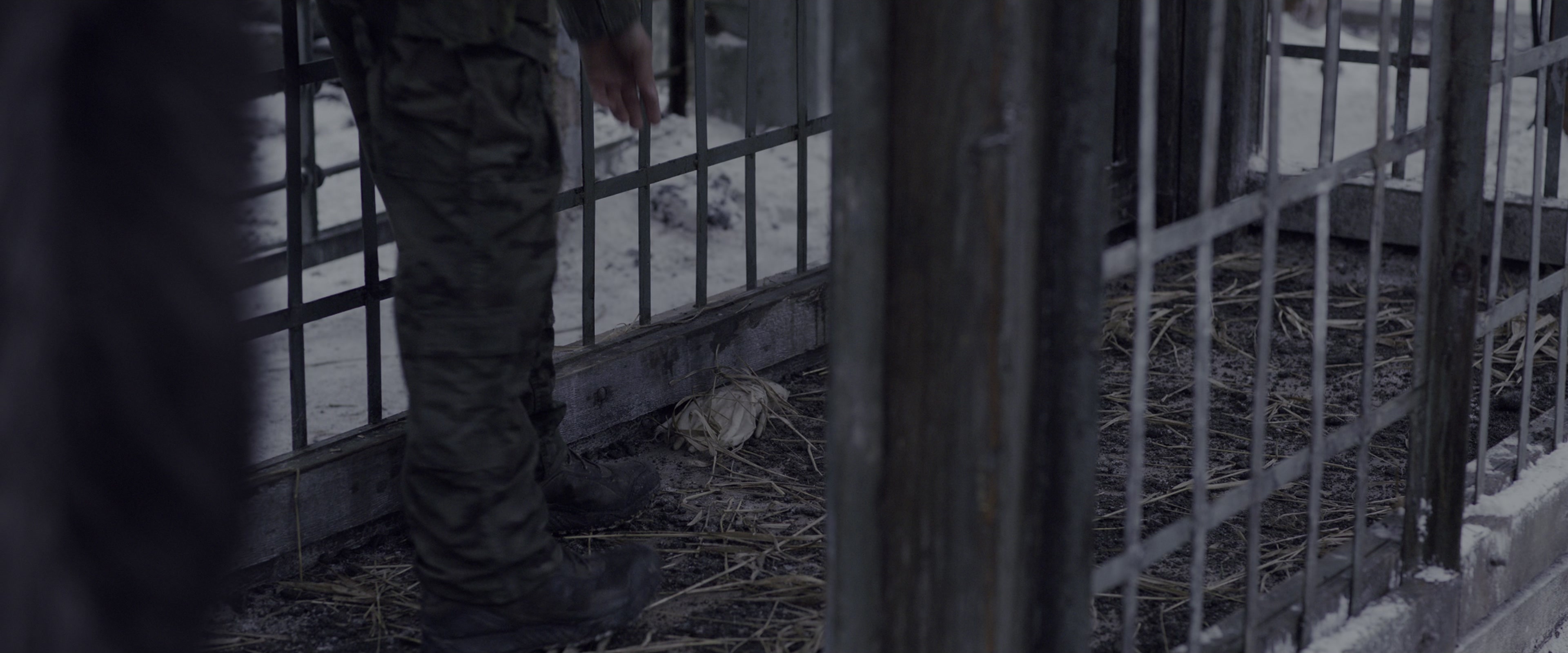 War for the Planet of the Apes (2017), wide, 2.40:1 — film still