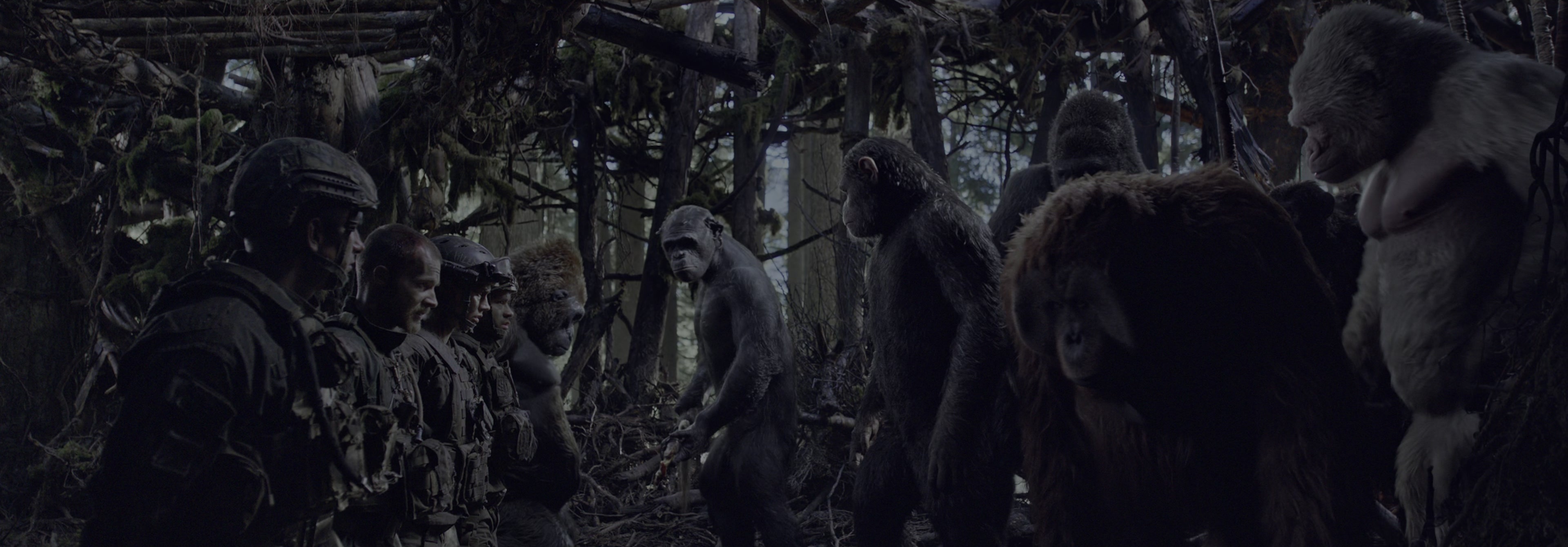 War for the Planet of the Apes (2017), wide, 2.87:1 — film still
