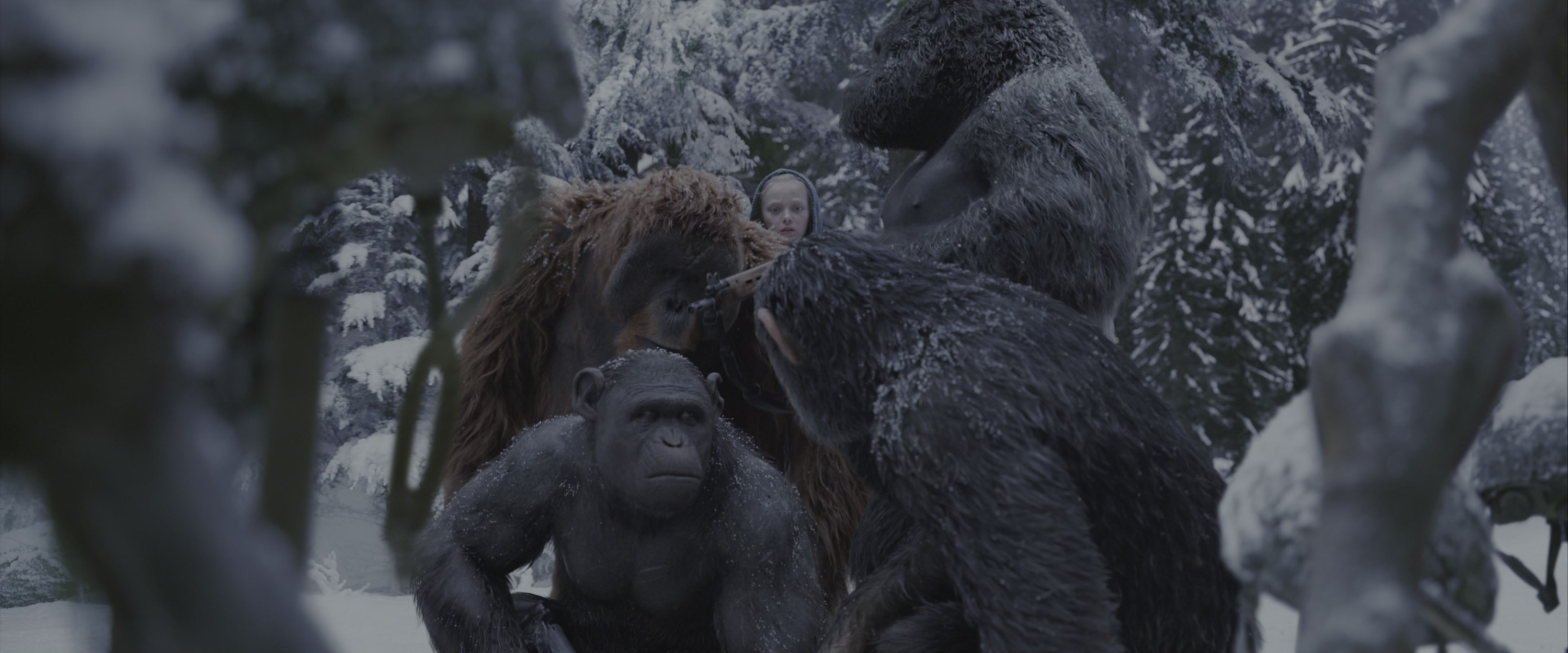 War for the Planet of the Apes (2017), wide, 2.40:1 — film still