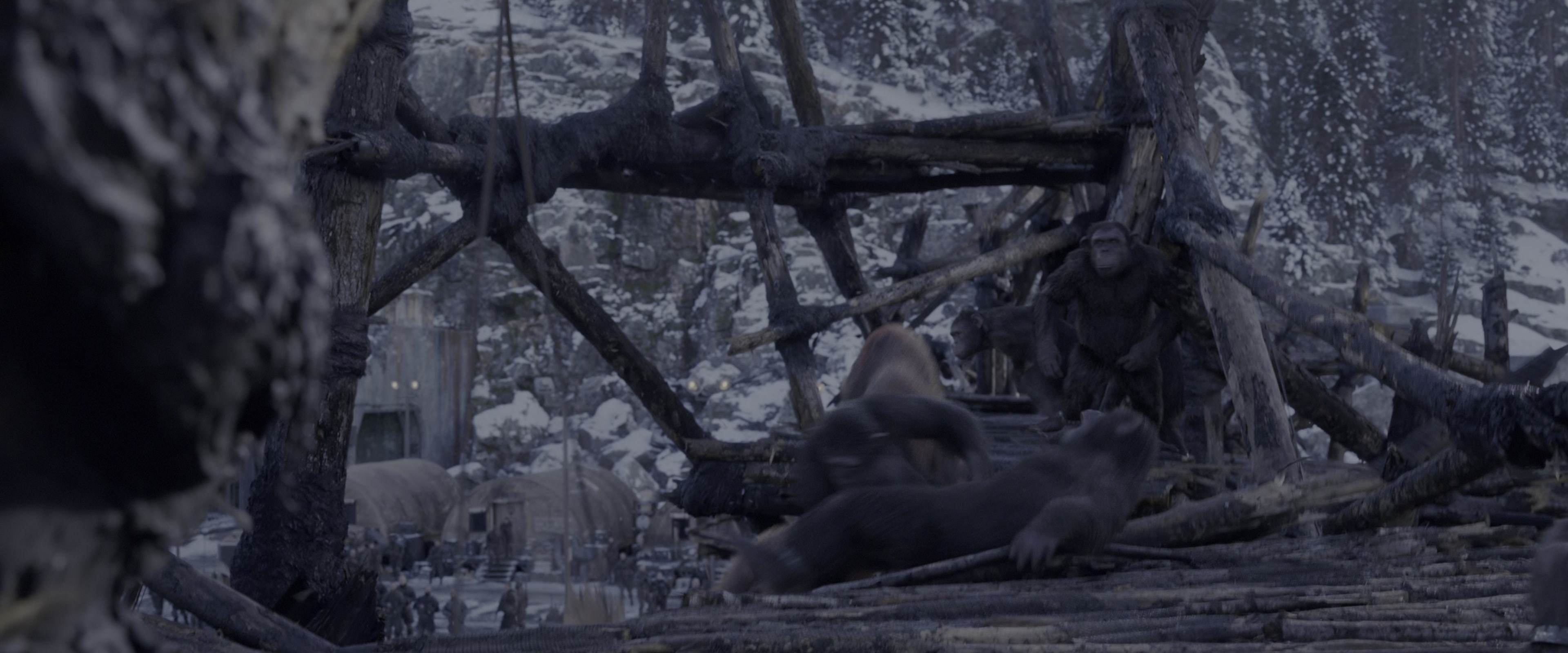 War for the Planet of the Apes (2017), wide, 2.40:1 — film still