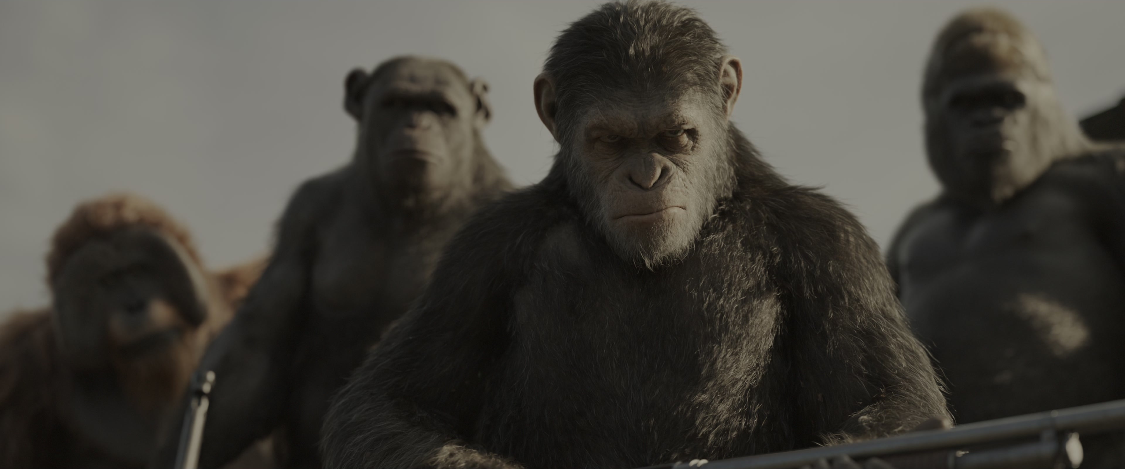 War for the Planet of the Apes (2017), wide, 2.40:1 — film still
