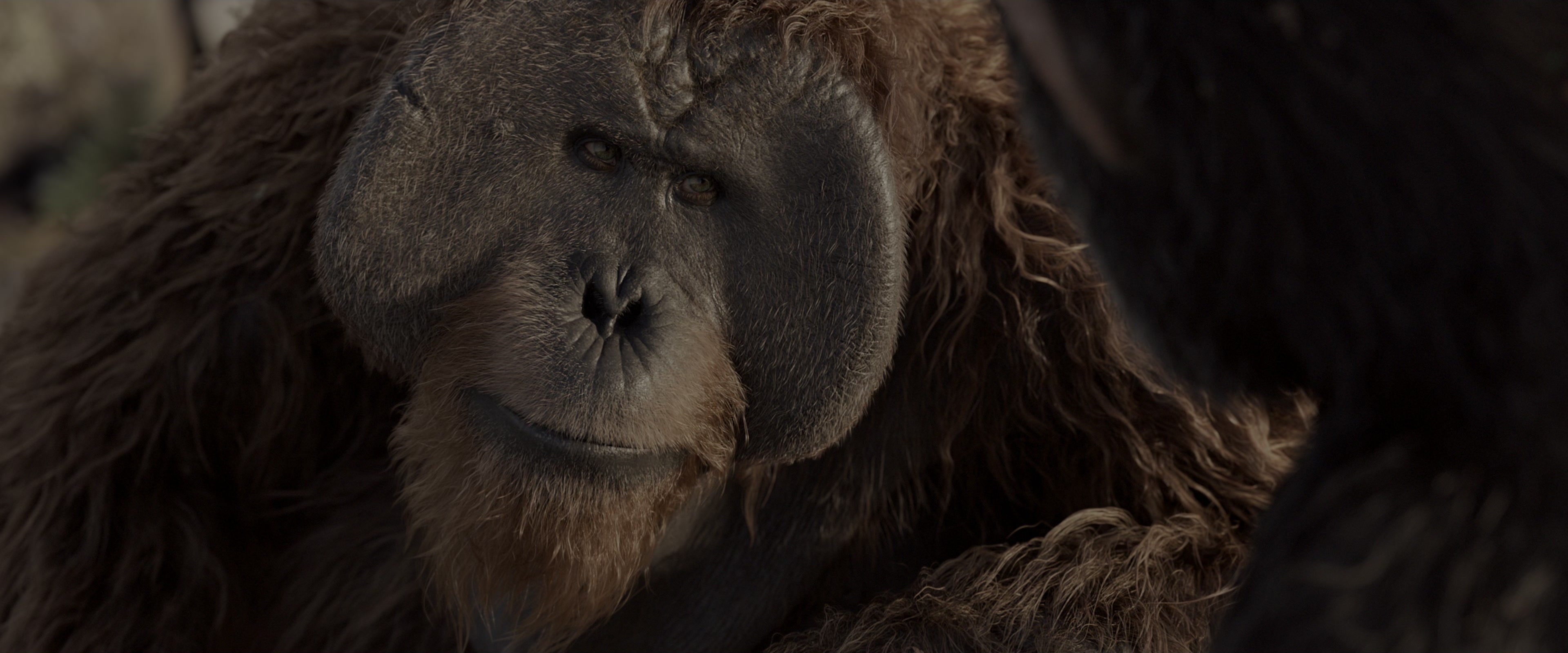 War for the Planet of the Apes (2017), wide, 2.40:1 — film still