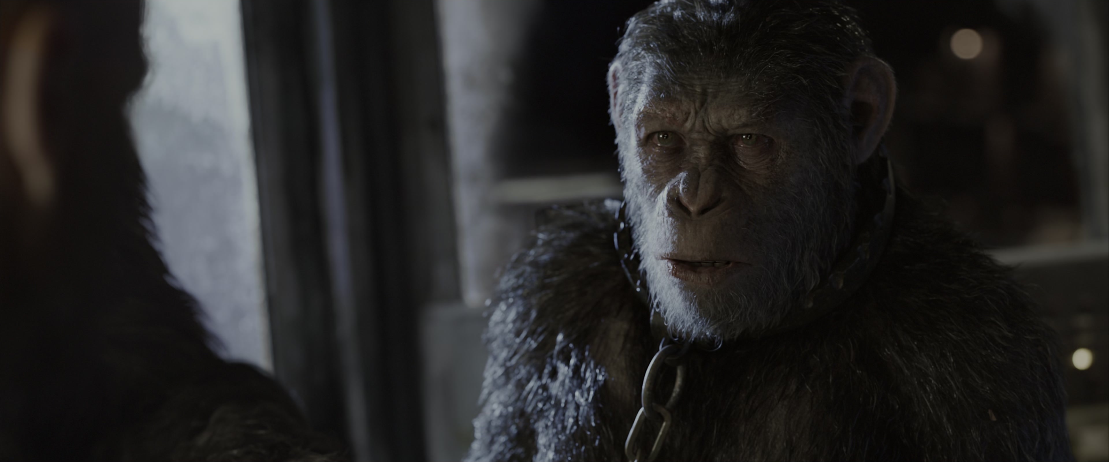 War for the Planet of the Apes (2017), medium, 2.40:1 — film still