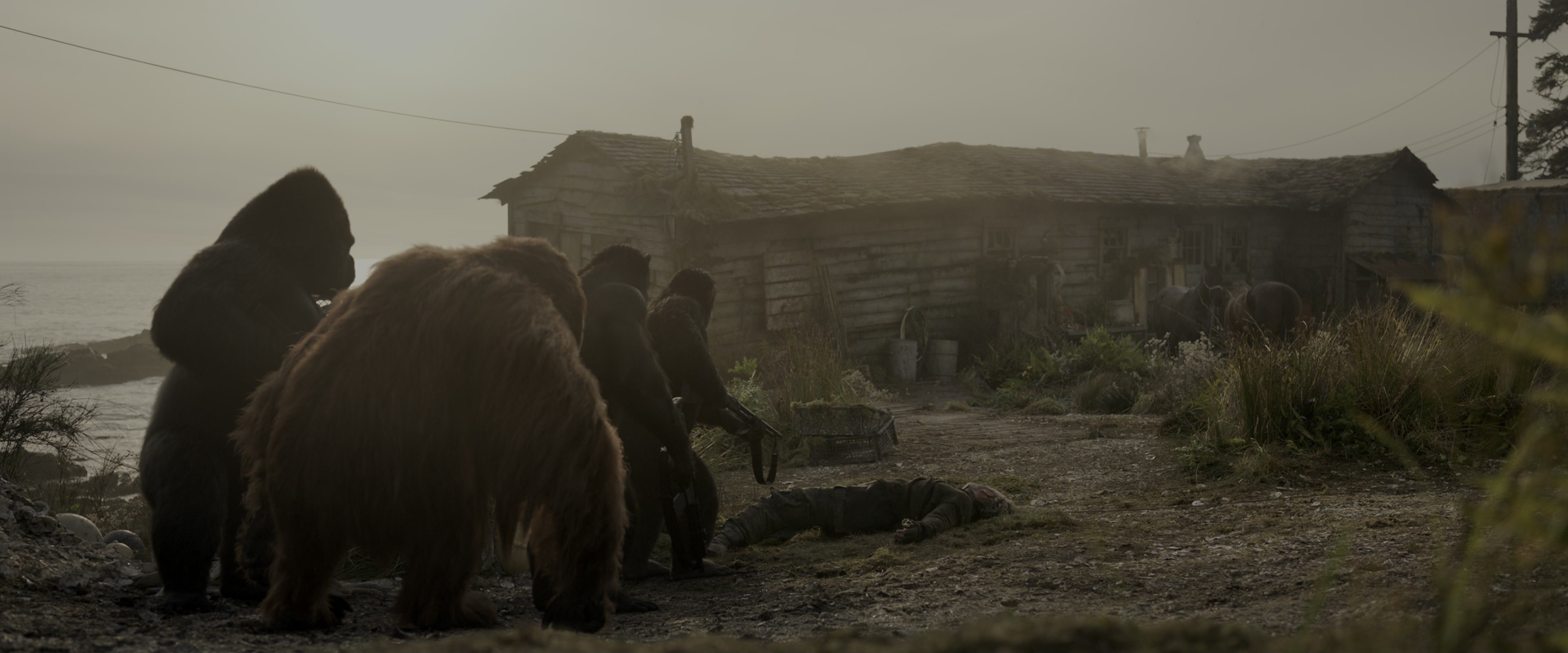 War for the Planet of the Apes (2017), wide, 2.40:1 — film still