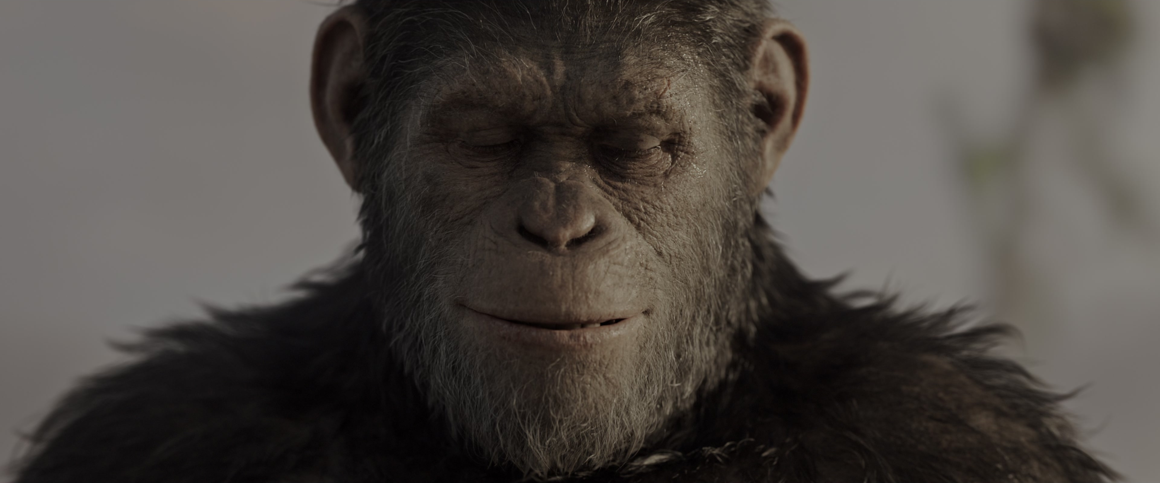 War for the Planet of the Apes (2017), medium, 2.40:1 — film still