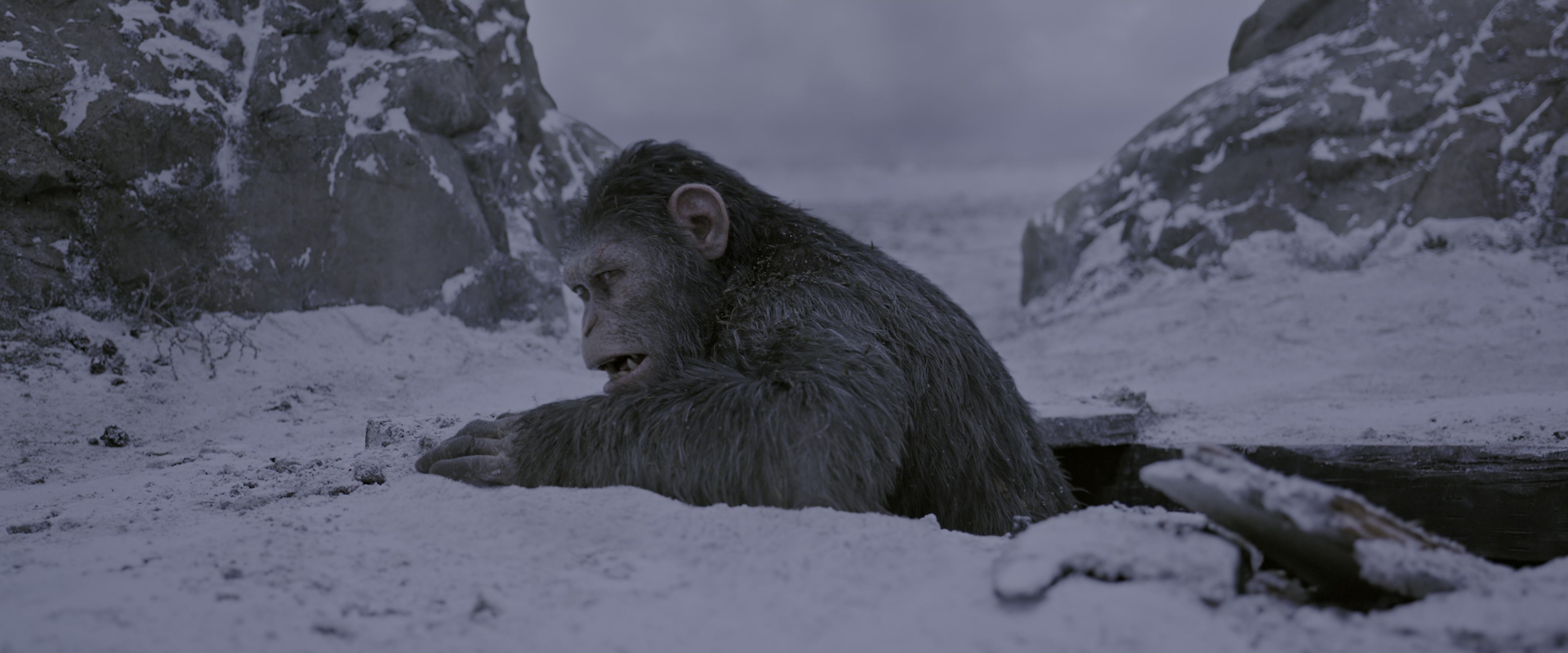 War for the Planet of the Apes (2017), wide, 2.40:1 — film still