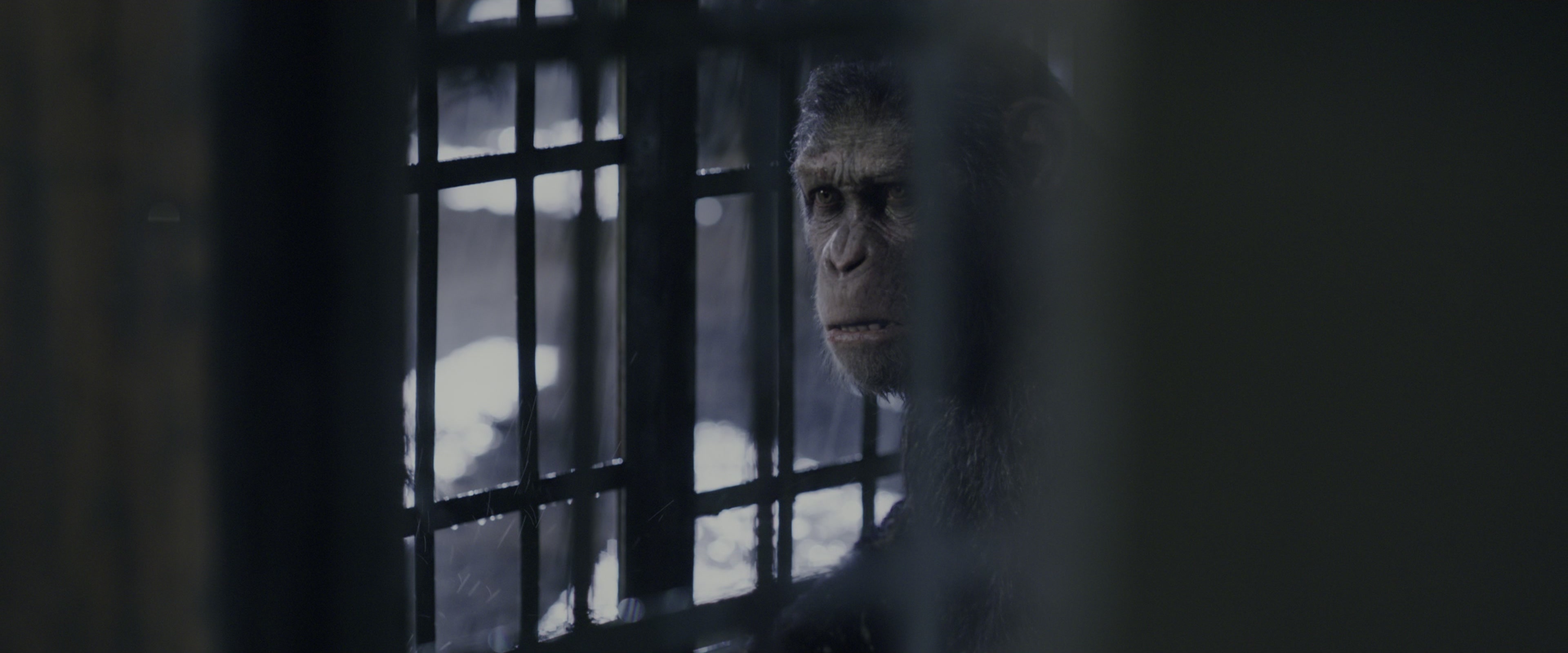 War for the Planet of the Apes (2017), wide, 2.40:1 — film still