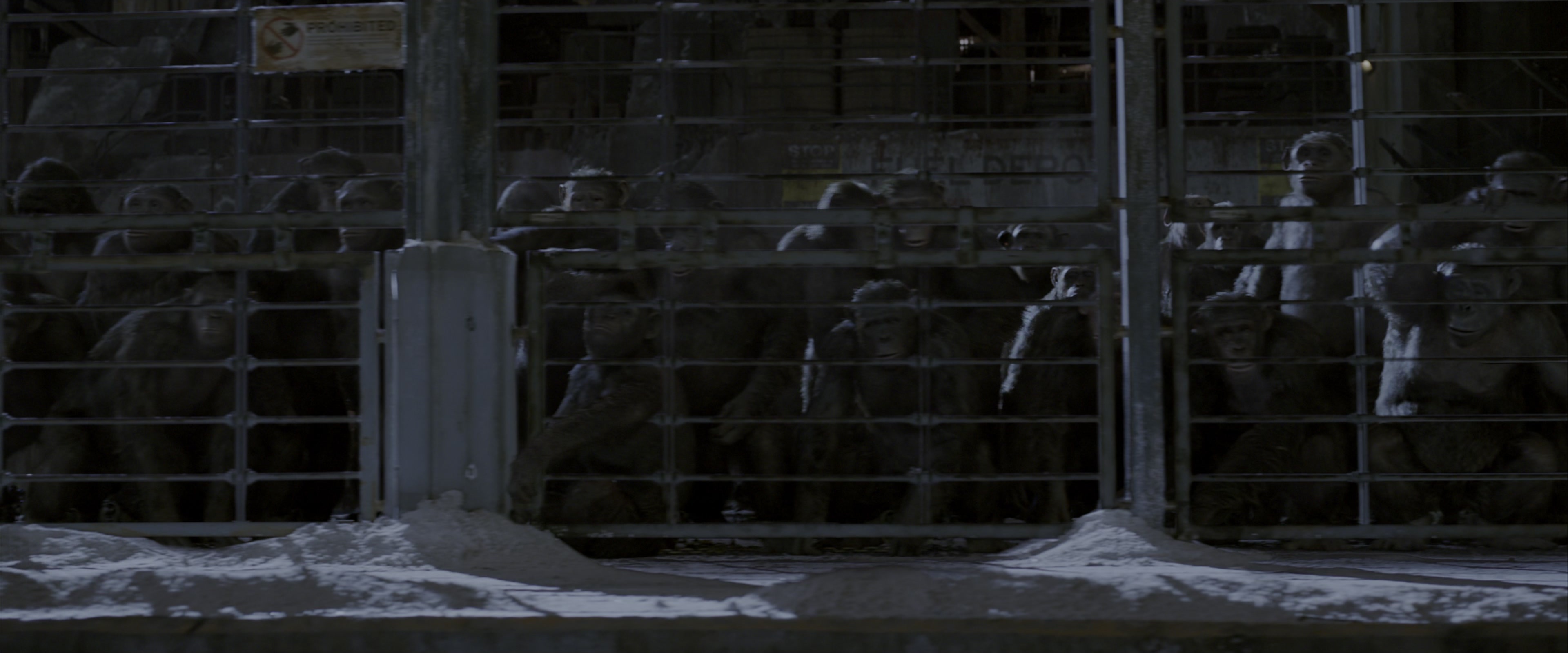War for the Planet of the Apes (2017), wide, 2.40:1 — film still