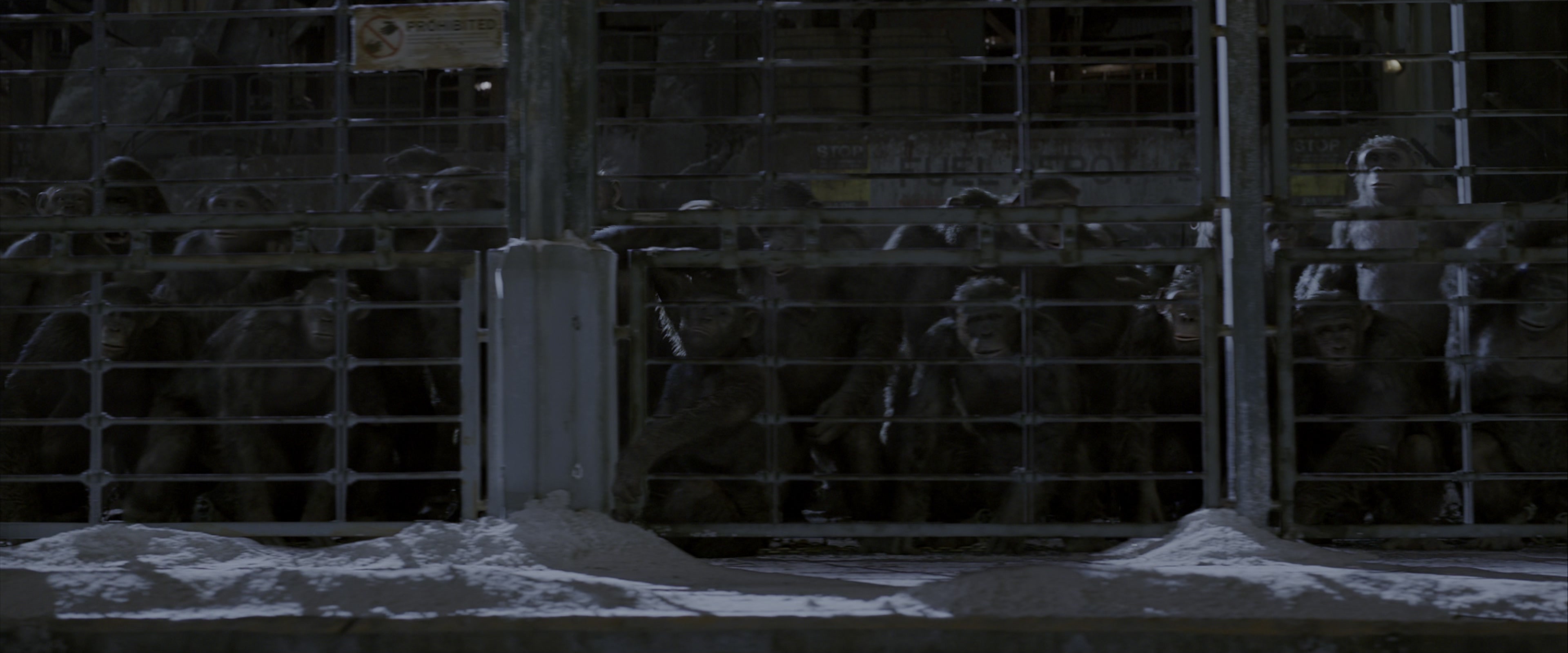 War for the Planet of the Apes (2017), wide, 2.40:1 — film still
