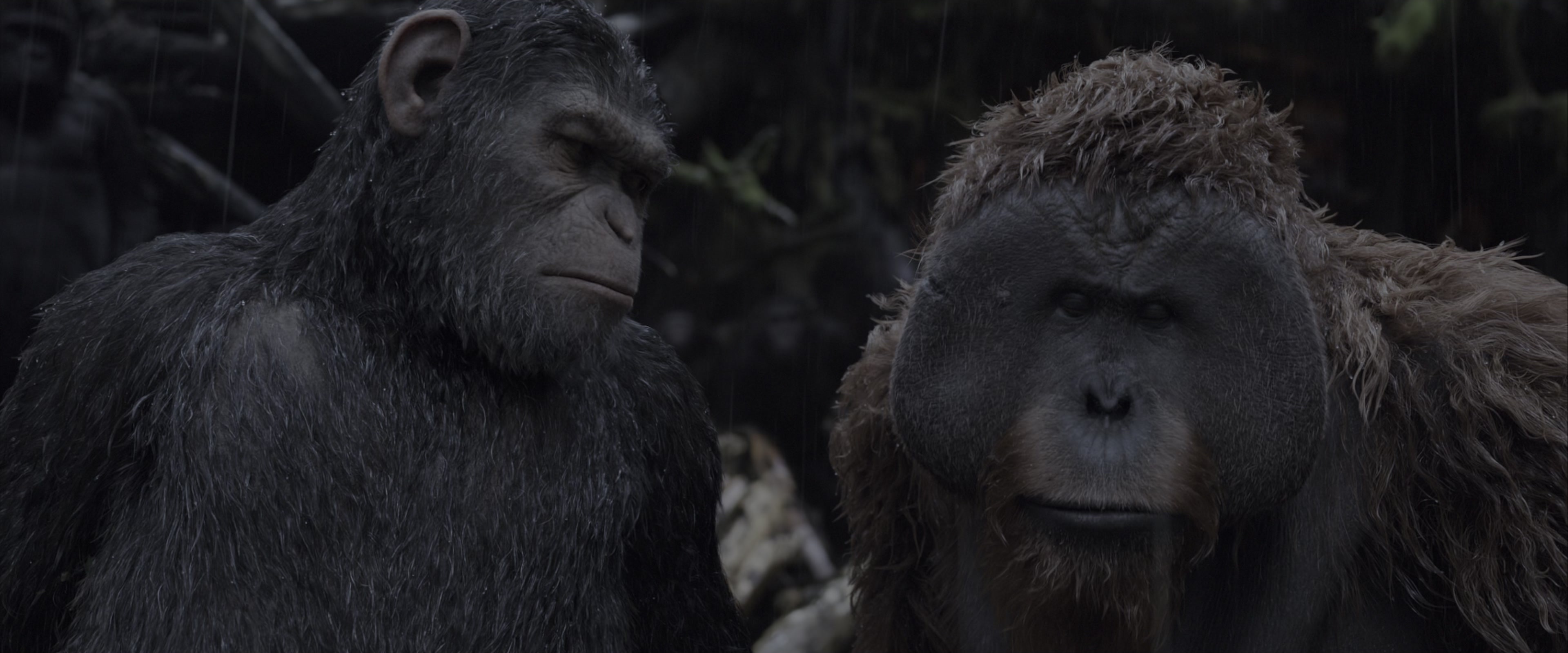 War for the Planet of the Apes (2017), wide, 2.40:1 — film still